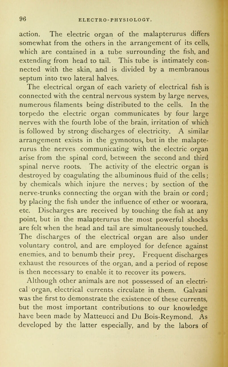 action. The electric organ of the malapterurus differs somewhat from the others in the arrangement of its cells, which are contained in a tube surrounding the fish, and extending from head to tail. This tube is intimately con- nected with the skin, and is divided by a membranous septum into two lateral halves. The electrical organ of each variety of electrical fish is connected with the central nervous system by large nerves, numerous filaments being distributed to the cells. In the torpedo the electric organ communicates by four large nerves with the fourth lobe of the brain, irritation of which is followed by strong discharges of electricity. A similar arrangement exists in the gymnotus, but in the malapte- rurus the nerves communicating with the electric organ arise from the spinal cord, between the second and third spinal nerve roots. The activity of the electric organ is destroyed by coagulating the albuminous fluid of the cells; by chemicals which injure the nerves; by section of the nerve-trunks connecting the organ with the brain or cord; by placing the fish under the influence of ether or woorara, etc. Discharges are received by touching the fish at any point, but in the malapterurus the most powerful shocks are felt when the head and tail are simultaneously touched. The discharges of the electrical organ are also under voluntary control, and are employed for defence against enemies, and to benumb their prey. Frequent discharges exhaust the resources of the organ, and a period of repose is then necessary to enable it to recover its powers. Although other animals are not possessed of an electri- cal organ, electrical currents circulate in them. Galvani was the first to demonstrate the existence of these currents, but the most important contributions to our knowledge have been made by Matteucci and Du Bois-Reymond. As developed by the latter especially, and by the labors of