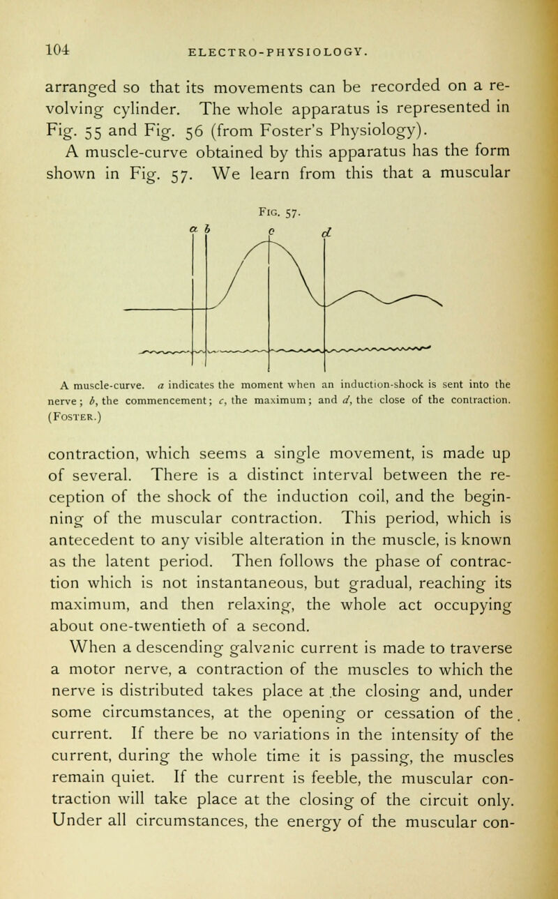 arranged so that its movements can be recorded on a re- volving cylinder. The whole apparatus is represented in Fig. 55 and Fig. 56 (from Foster's Physiology). A muscle-curve obtained by this apparatus has the form shown in Fig. 57. We learn from this that a muscular A muscle-curve, a indicates the moment when an induction-shock is sent into the nerve; b, the commencement; c, the maximum; and d, the close of the contraction. (Foster.) contraction, which seems a single movement, is made up of several. There is a distinct interval between the re- ception of the shock of the induction coil, and the begin- ning of the muscular contraction. This period, which is antecedent to any visible alteration in the muscle, is known as the latent period. Then follows the phase of contrac- tion which is not instantaneous, but gradual, reaching its maximum, and then relaxing, the whole act occupying about one-twentieth of a second. When a descending galvanic current is made to traverse a motor nerve, a contraction of the muscles to which the nerve is distributed takes place at .the closing and, under some circumstances, at the opening or cessation of the, current. If there be no variations in the intensity of the current, during the whole time it is passing, the muscles remain quiet. If the current is feeble, the muscular con- traction will take place at the closing of the circuit only. Under all circumstances, the energy of the muscular con-