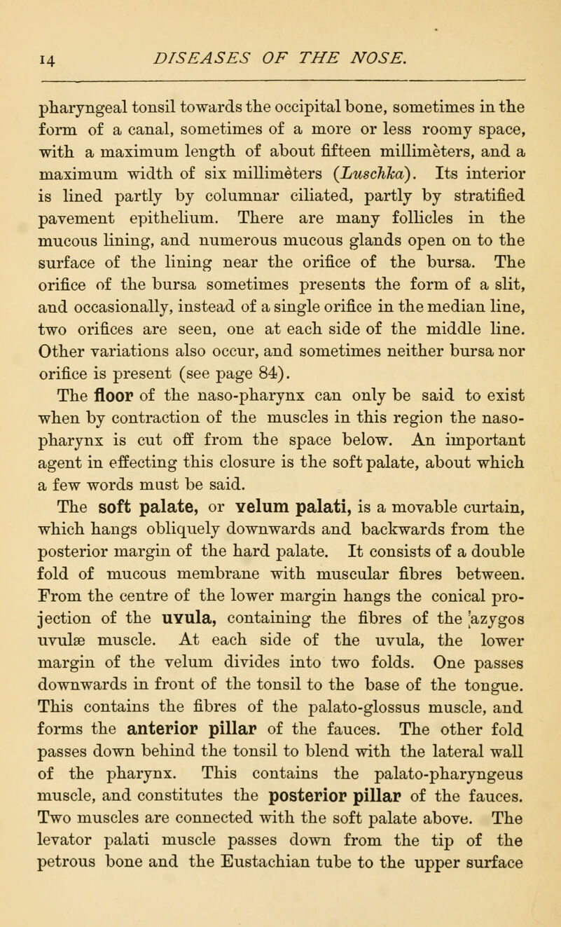 pharyngeal tonsil towards the occipital bone, sometimes in the form of a canal, sometimes of a more or less roomy space, with a maximum length of about fifteen millimeters, and a maximum width of six millimeters (Luschka). Its interior is lined partly by columnar ciliated, partly by stratified pavement epithelium. There are many follicles in the mucous lining, and numerous mucous glands open on to the surface of the lining near the orifice of the bursa. The orifice of the bursa sometimes presents the form of a slit, and occasionally, instead of a single orifice in the median line, two orifices are seen, one at each side of the middle line. Other variations also occur, and sometimes neither bursa nor orifice is present (see page 84). The floor of the naso-pharynx can only be said to exist when by contraction of the muscles in this region the naso- pharynx is cut off from the space below. An important agent in effecting this closure is the soft palate, about which a few words must be said. The soft palate, or velum palati, is a movable curtain, which hangs obliquely downwards and backwards from the posterior margin of the hard palate. It consists of a double fold of mucous membrane with muscular fibres between. From the centre of the lower margin hangs the conical pro- jection of the UYllla, containing the fibres of the 'azygos uvulae muscle. At each side of the uvula, the lower margin of the velum divides into two folds. One passes downwards in front of the tonsil to the base of the tongue. This contains the fibres of the palato-glossus muscle, and forms the anterior pillar of the fauces. The other fold passes down behind the tonsil to blend with the lateral wall of the pharynx. This contains the palato-pharyngeus muscle, and constitutes the posterior pillar of the fauces. Two muscles are connected with the soft palate above. The levator palati muscle passes down from the tip of the petrous bone and the Eustachian tube to the upper surface