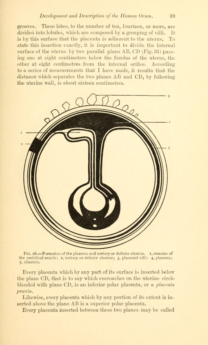 grooves. These lobes, to the number of ten, fourteen, or more, are divided into lobules, which are composed by a grouping of villi. It is by this surface that the placenta is adherent to the uterus. To state this insertion exactly, it is important to divide the intern;!! surface of the uterus by two parallel plans AB, CD (Fig. 31) pass- ing one at eight centimetres below the fundus of the uterus, the other at eight centimetres from the internal orifice. According to a series of measurements that I have made, it results that the distance which separates the two planes AB and CD, by following the uteiine wall, is about sixteen centimetres. Fig. 26.—Formation of the placenta and tertiary or definite chorion. I, remains of the umbilical vesicle; 2, tertiary or definite chorion; 3, placental villi; 4, placenta; 5, allantois. Every placenta which by any part of its surface i^ inserted below the plane CD, that is to say which encroaches on the uterine circle blended with plane CD, is an inferior polar placenta, or a placenta praria. Likewise, every placenta which by any portion of its extent is in- serted above the plane AB is a superior polar placenta. Every placenta inserted between these two planes may be called