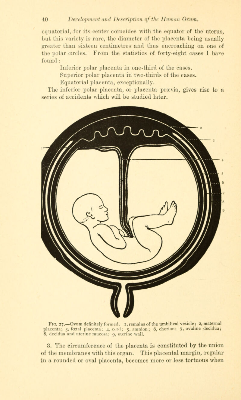 equatorial, for its center coincides with the equator of the uterus, but this variety is ran*, the diameter of the placenta being usually greater than sixteen centimetres and thus encroaching on one of the polar circles. From the statistics of forty-eight cases I ha^e found : Inferior polar placenta in one-third of the cases. Superior polar placenta in two-thirds of the cases. Equatorial placenta, exceptionally. The inferior polar placenta, or placenta previa, gives rise to a series of accidents which will he studied later. Fir,. 27.—Ovum definitely formed. 1, remains of the umbilical vesicle; 2, maternal placenta; 3, foetal placenta; 4, Cord; 5, amnion ; 6, chorion; 7, ovuline decidua; 8, decidua and uterine mucosa; 9, uterine wall. :*. The circumference of the placenta is constituted by the union of the membranes with this organ. This placental margin, regular in a rounded or oval placenta, becomes more or less tortuous when