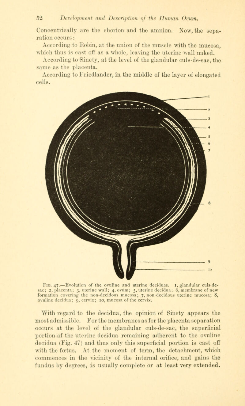 Concentrically are the chorion and the amnion. Now, the sepa- ration occurs : According to Robin, at the union of the muscle with the mucosa, which thus is cast off as a whole, leaving the uterine wall naked. According to Sinety, at the level of the glandular culs-de-sac, the same as the placenta. According to Friedlander, in the middle of the layer of elongated cells. Fig. 47.—Evolution of the ovuline and uterine deciduas. 1, glandular culs-de- sac; 2, placenta; 3, uterine wall; 4, ovum; 5, uterine decidua; 6, membrane of new formation covering the non-decidous mucosa; 7, non decidous uterine mucosa; 8, ovuline decidua; 9, cervix; 10, mucosa of the cervix. With regard to the decidua, the opinion of Sinety appears the mosi admissible. Forthe membranes as for the placenta separation occurs at the lev.1 of the glandular culs-de-sac, the superficial portion of the uterine decidua remaining adherent to the ovuline decidua (Fig. -17) and thus only this superficial portion is cast off with the foetus. At the moment of term, the detachment, which commences in the vicinity of the interna] orifice, and gains the fundus by degrees, is usually complete or at least very extended.