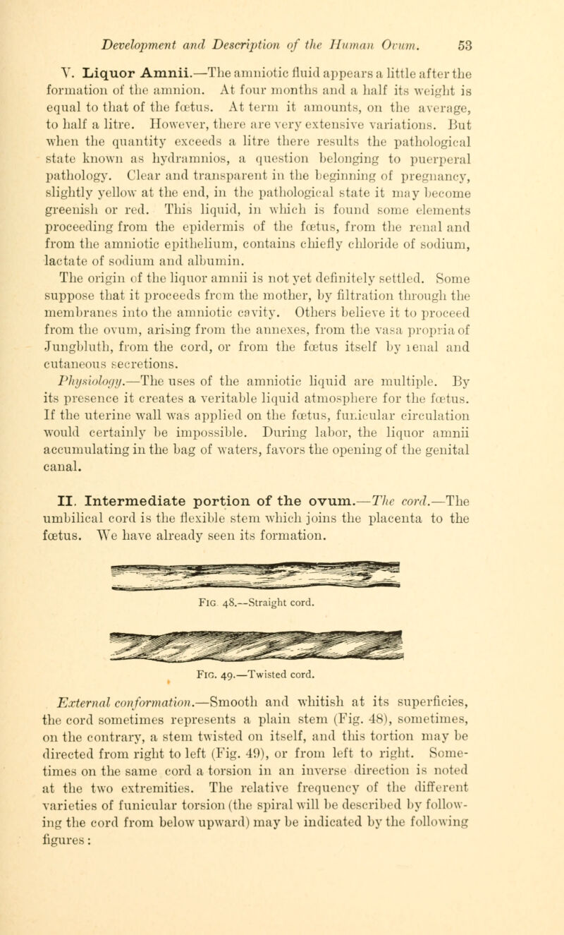 V. Liquor Amnii.—The amniotic fluid appears it little after the formation of the amnion. At four months and a half its weight is equal to that of the foetus. At term it amounts, on the average, to half a litre. However, there are very extensive; variations. But when the quantity exceeds a litre there results the pathological state known as hydramnios, a question belonging to puerpera] pathology. Clear and transparent in the beginning of pregnancy, slightly yellow at the end, in the pathological state it may become greenish or red. This liquid, in which is found some elements proceeding from the epidermis of the foetus, from the renal and from the amniotic epithelium, contains chiefly chloride of sodium, lactate of sodium and albumin. The origin of the liquor amnii is not yet definitely settled. Some suppose that it proceeds from the mother, by filtration through the membranes into the amniotic cavity. Others believe it to proceed from the ovum, arising from the annexes, from the vasa propria of Jungbluth, from the cord, or from the foetus itself by lenal and cutaneous secretions. Physiology.—The uses of the amniotic liquid are multiple. By its presence it creates a veritable liquid atmosphere for the foetus. If the uterine wall was applied on the foetus, funicular circulation would certainly be impossible. During labor, the liquor amnii accumulating in the bag of waters, favors the opening of the genital canal. II. Intermediate portion of the ovum.—The cord.—The umbilical cord is the flexible stem which joins the placenta to the foetus. We have already seen its formation. Fig 48.—Straight cord. Fig. 49.—Twisted cord. External conformation.—Smooth and whitish at its superficies, the cord sometimes represents a plain stem (Fig. 48), sometimes, on the contrary, a stem twisted on itself, and this tortion may be directed from right to left (Fig. 49), or from left to right. Some- times on the same cord a torsion in an inverse direction is noted at the two extremities. The relative frequency of the different varieties of funicular torsion (the spiral will be described by follow- ing the cord from belowr upward) may be indicated by the following figures: