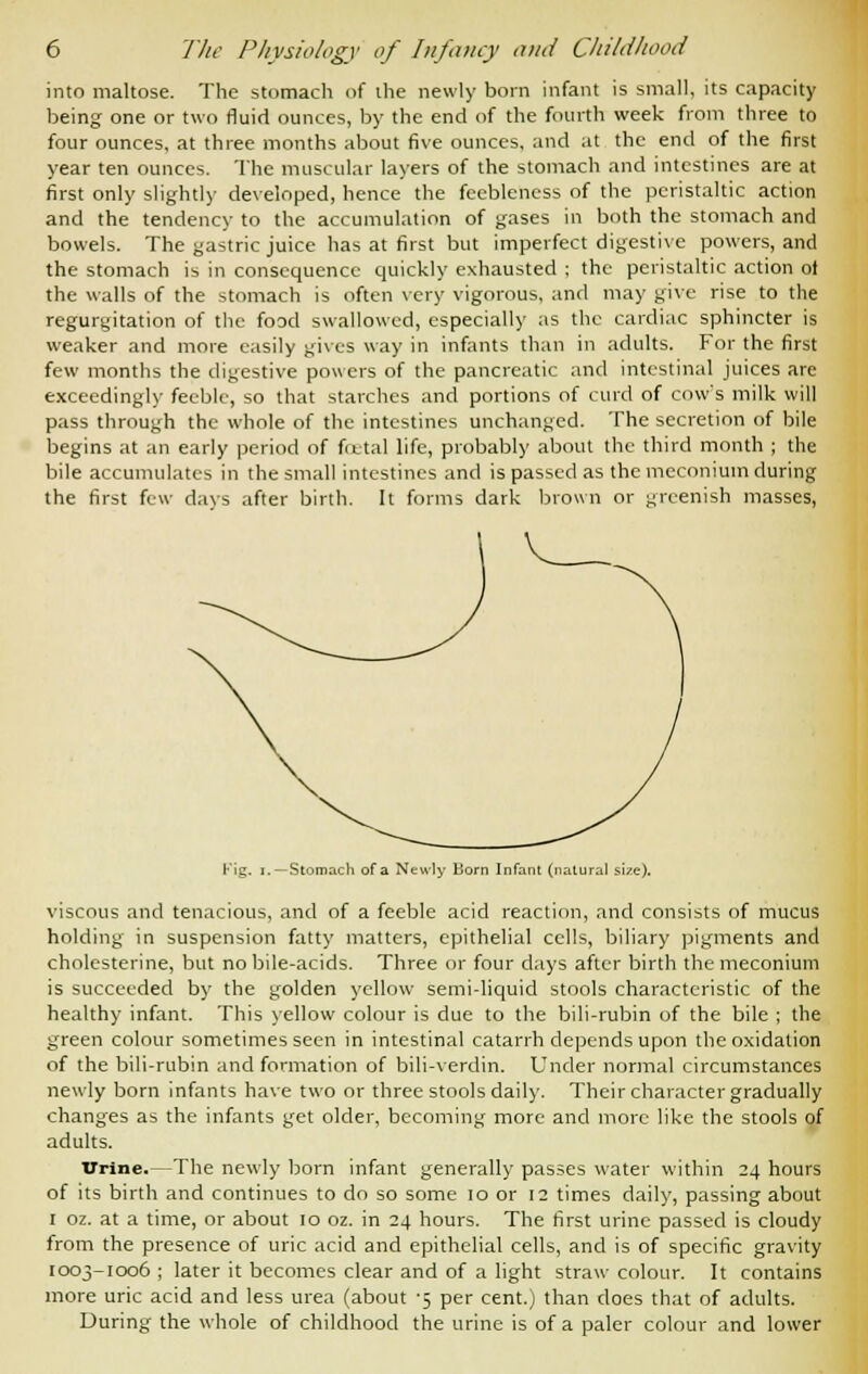into maltose. The stomach of the newly born infant is small, its capacity being one or two fluid ounces, by the end of the fourth week from three to four ounces, at three months about five ounces, and at the end of the first year ten ounces. The muscular layers of the stomach and intestines are at first only slightly developed, hence the feebleness of the peristaltic action and the tendency to the accumulation of gases in both the stomach and bowels. The gastric juice has at first but imperfect digestive powers, and the stomach is in consequence quickly exhausted ; the peristaltic action of the walls of the stomach is often very vigorous, and may give rise to the regurgitation of the food swallowed, especially as the cardiac sphincter is weaker and more easily gives way in infants than in adults. For the first few months the digestive powers of the pancreatic and intestinal juices are exceedingly feeble, so that starches and portions of curd of cow's milk will pass through the whole of the intestines unchanged. The secretion of bile begins at an early period of fetal life, probably about the third month ; the bile accumulates in the small intestines and is passed as the meconium during the first few days after birth. It forms dark brown or greenish masses, Kig. i.—Stomach of a Newly Born Infant (natural size). viscous and tenacious, and of a feeble acid reaction, and consists of mucus holding in suspension fatty matters, epithelial cells, biliary pigments and cholesterine, but no bile-acids. Three or four days after birth the meconium is succeeded by the golden yellow semi-liquid stools characteristic of the healthy infant. This yellow colour is due to the bili-rubin of the bile ; the green colour sometimes seen in intestinal catarrh depends upon the oxidation of the bili-rubin and formation of bili-verdin. Under normal circumstances newly born infants have two or three stools daily. Their character gradually changes as the infants get older, becoming more and more like the stools of adults. Urine.—The newly born infant generally passes water within 24 hours of its birth and continues to do so some 10 or 12 times daily, passing about 1 oz. at a time, or about 10 oz. in 24 hours. The first urine passed is cloudy from the presence of uric acid and epithelial cells, and is of specific gravity 1003-1006 ; later it becomes clear and of a light straw colour. It contains more uric acid and less urea (about -5 per cent.) than does that of adults. During the whole of childhood the urine is of a paler colour and lower