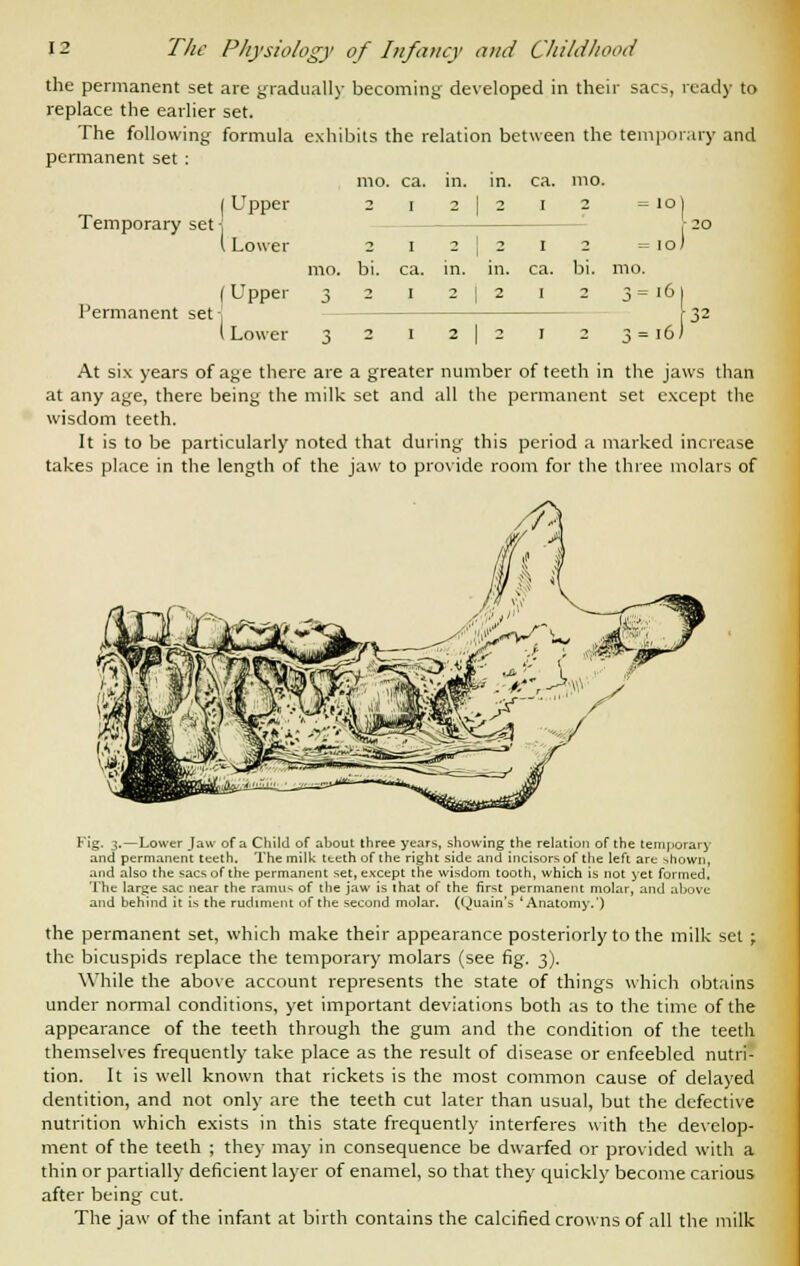 the permanent set are gradually becoming developed in their sacs, ready to replace the earlier set. The following formula exhibits the relation between the temporary and permanent set : mo. ca. in. in. ca. mo. I Upper 2 i 2 | 2 i 2 = io| Temporary set -j ,- 20 \ Lower 2 1 2 | 2 1 2 = 10 J mo. bi. ca. in. in. ca. bi. mo. Permanent set-, ' Upper 1 Lower 3=l6| 32 3 = 16) At six years of age there are a greater number of teeth in the jaws than at any age, there being the milk set and all the permanent set except the wisdom teeth. It is to be particularly noted that during this period a marked increase takes place in the length of the jaw to provide room for the three molars of Kig. 3.—Lower Jaw of a Child of about three years, showing the relation of the temporary and permanent teeth. The milk teeth of the right side and incisors of the left are shown, and also the sacs of the permanent set, except the wisdom tooth, which is not yet formed. The large sac near the ramus of the jaw is that of the first permanent molar, and above and behind it is the rudiment of the second molar. (Quain's 'Anatomy.') the permanent set, which make their appearance posteriorly to the milk set ; the bicuspids replace the temporary molars (see fig. 3). While the above account represents the state of things which obtains under normal conditions, yet important deviations both as to the time of the appearance of the teeth through the gum and the condition of the teeth themselves frequently take place as the result of disease or enfeebled nutri- tion. It is well known that rickets is the most common cause of delayed dentition, and not only are the teeth cut later than usual, but the defective nutrition which exists in this state frequently interferes with the develop- ment of the teeth ; they may in consequence be dwarfed or provided with a thin or partially deficient layer of enamel, so that they quickly become carious after being cut. The jaw of the infant at birth contains the calcified crowns of all the milk