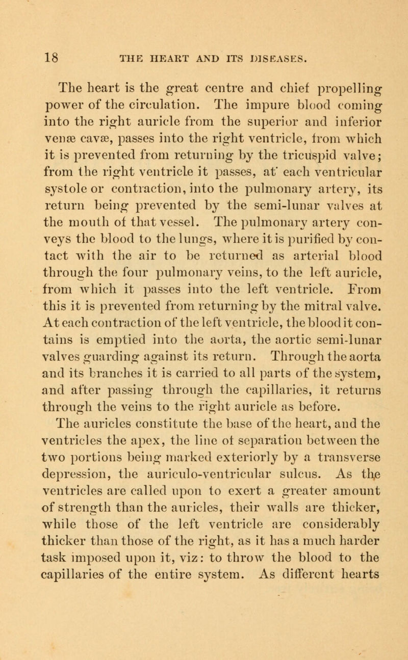 The heart is the great centre and chief propelling- power of the circulation. The impure blood coming into the right auricle from the superior and inferior venae cavae, passes into the right ventricle, from which it is prevented from returning by the tricuspid valve; from the right ventricle it passes, at' each ventricular systole or contraction, into the pulmonary artery, its return being prevented by the semi-lunar valves at the mouth of that vessel. The pulmonary artery con- veys the blood to the lungs, where it is purified by con- tact with the air to be returned as arterial blood through the four pulmonary veins, to the left auricle, from which it passes into the left ventricle. From this it is prevented from returning by the mitral valve. At each contraction of the left ventricle, the blood it con- tains is emptied into the aorta, the aortic semi-lunar valves guarding against its return. Through the aorta and its branches it is carried to all parts of the system, and after passing through the capillaries, it returns through the veins to the right auricle as before. The auricles constitute the base of the heart, and the ventricles the apex, the line ot separation between the two portions being marked exteriorly by a transverse depression, the auriculo-ventricular sulcus. As thje ventricles are called upon to exert a greater amount of strength than the auricles, their walls are thicker, while those of the left ventricle are considerably thicker than those of the right, as it has a much harder task imposed upon it, viz: to throw the blood to the capillaries of the entire system. As different hearts