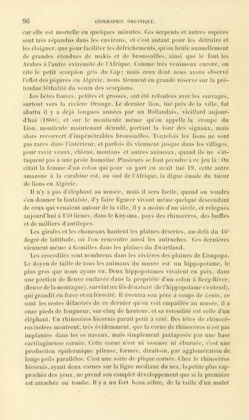 car elle est. mortelle en quelques minutes. Ces serpents el autres espèces sont très répandas dan- les environs, el c'est autant pour les détruire el les éloigner, que pour Faciliter les défrichements, qu'on brûle annuellement de grandes étendues de makis el de broussailles, ainsi que le Font les Arabes à l'autre extrémité de l'Afrique. Comme très venimeux encore, on cite le |)t-iit scorpion gris du Cap; mais ceux dont nous avons observé l'effet des piqûres en Algérie, non- tiennent en grande réserve sur la pré- tendue léthalité du venin des scorpions. Les bétes fauves, petites el grosses, onl été refoulées avec les sauvages, surtout \ers la rivière Orange. Le dernier lion, lue i>rés delà ville, fui abattu il y a déjà longues années par un Hollandais, vieillard aujour- d'hui (1860), el sur le monticule même qu'on appelle la croupe du Lion, monticule maintenant dénudé, portant la tour des signaux, mais alors recouvert d'impénétrables broussailles. Toutefois les lions ne sont pas rares dan- l'intérieur, el parfois ils \ iennenl jusque dans les villages, pour ravir veaux, chien-, moutons et autres animaux, quand il- ne s'at- taquent pas à une proie humaine. Plusieurs se font prendre à ce jeu là : On citait la femme d'un colon qui pour -a part en avait tué 19, celle autre amazone à la carabine est, au sud de l'Afrique, la digne émule du lueur de liens en Algérie. Il n'v a pas d'éléphant au musée, mais il sera facile, quand on voudra s'en donner la fantaisie, d'j faire figurer vivant même quelque descendant de ceux qui venaient autour de la ville, il y a moins d'un siècle, et relégués aujourd'hui à ISO lieue-, dans le Knysma, pays des rhinocéros, des buffles et de milliers d'antilopes. Les girafe- el le- chameaux hanlenl les plaine- désertes, au-delà du 16* degré de lattitude, où l'un rencontre aussi les autruches. Ces dernières viennent menu- àGomilles dan-les plaines du Zwartland. I.e- crocodiles sont nombreux dan- le- rivières de- plaine- de Lisupopo. I.e doyen de taille de ton- le-animaux du musée est un hippopotame, le plus gin- que nous ayons vu. Deux hippopotames vivaient en paix, dans une portion de fleuve enclavée dans la propriété d'un colon à Berg-River, (fleuve de la montagne), survint un fils dénaturé de l'hippopotame s'entend), qui grandit en force el en feroeilo. Il é\ontia -on père a coups de cenl-. ce sont les restes délacérés de ce dernier qu'on voit empaille- au musée, il a onze pied-de longueur, sur cinq de hauteur, ci-a rotondité est celle d'un éléphant. Un rhinocéros bicornis parait petit a côté. De- têtes de rhinocé- ros i-olee- montrent, très éi idemment, que la corne île rhinocéros n'esl pas implantée dan- le- OS nasaux, mai- -implemcul juxtaposée par uni' base cartilagineuse cornée. Cette cerne n'e-i ni osseuse ni éburnée, c'esl une production épidermique pileuse, formée, dirait-on. par agglomération de longs poils parallèle-. C'est une sorte de plique cornée. Chez le rhinocéros bicornis, ayant deux cornes sur la ligne médiane du nez, la petite plus rap- prochée de- yeux, ne prend -on complet développement que m la première e-i arrachée eu tombe. Il > a un fort beau zèbre, de la taille d'un mulet