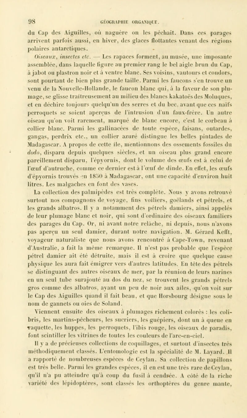 du Cap des Aiguilles, où naguère on le* péchait. Dans ces parages arrivent parfois aussi, en hiver, des glaces flottantes venant des régions polaires antarctiques. Oiseaux, insectes etc. — Les rapaees forment, au musée, une imposante assemblée, dans laquelle figure au premier rang le bel aigle brun du Cap, à jabot ou plastron noir el à ventre Ida ne. Ses voisins, vautours et condors, sont pourtant de bien plus grande taille. Parmi les faucons s'en trouve un venu de la Nouvelle-Hollande, le faucon blanc qui, à la faveur de son phi- mage, se glisse traîtreusement au milieu des blancs kakatoès des Moluques, et en déchire toujours quelqu'un des serres et du bec, avant que ces naïfs perroquets se soient aperçus de l'intrusion d'un faux-frère. Un autre oiseau qu'on voit rarement, marqué de blanc encore, c'esl le corbeau à collier blanc. Parmi les gallinaeées de toute espèce, faisans, outardes. gangas, perdrix etc., un collier azuré distingue les belles pintades de .Madagascar. A propos de cette Ile, mentionnons des ossements fossiles du dodo, disparu depuis quelques siècles, el un oiseau plus grand encore pareillement disparu, l'épvornis, dont le volume des œufs est à celui de l'œuf d'autruche, comme ce dernier est à l'œuf de dinde. En effet .les œufs d'épvomis trouvés 'n 1850 à Madagascar, ont une capacité d'environ huit litres. Les malgaches en font des vases. La collection des palmipèdes est très complète. Nous \ avons retrouvé surtout nos compagnons de voyage, lins voiliers, goélands el pétrels, et les grands albatros. Il v a notamment des pétrels damiers, ainsi appelés de leur plumage blanc el noir, qui sont d'ordinaire des oiseaux familiers des parages du Cap. Or, ni avant notre relâche, ni depuis, nous n'avons pas aperçu un seul damier, durant notre navigation. M. Gérard Kelïl. voyageur naturaliste que nous avons rencontré à Cape-Town, revenant d'Australie, a fait la même remarque. Il n'est pas probable que l'espèce pétrel damier ait été détruite, mais il est à croire que quelque cause physique les aura fait émîgrer vers d'autres latitudes. En tète des pétrels se distinguant des autres oiseaux de mer, par la réunion de leurs narines en un seul tube surajouté' au dos du nez, se trouvent les grands pétrels gros comme des albatros, avant un peu de noir aux ailes, qu'on voit sur le Cap des Aiguilles quand il fait beau, et que llorsbourg désigne SOUS le nom de gannels ou oies de Soland. Viennent ensuite des oiseaux à plumages richement colorés : les coli- bris, les inartins-péehcurs. les sucriers, les guêpiers, dont un à queue en raquette, les huppes, les perroquets, l'ibis rouge, les oiseaux de paradis, font scintiller les vitrines de toutes les ci m leurs de l'arc-en-ciel. Il v a de précieuses collections de coquillages, et surtout d'insectes très méthodiquement classés. L'entomologie est la spécialité île M. Layard. Il a rapporté de nombreuses espèces de Ceylan. Sa collection de papillons est lies belle. Parmi les grande, espèces, il en est une 1res rare de Ce} lau. qu'il n'a pu atteindre qu'à coup du fusil à cendrée. \ cote de la riche Variété des lépidoptères, s,,ni classe, les orthoptères du genre niante.