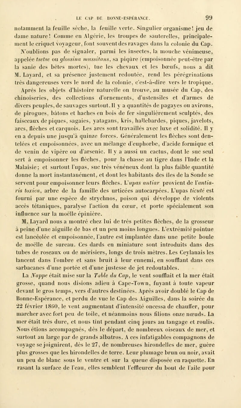 notamment la feuille sèche, la feuille verte. Singulier organisme! jeu de dame nature! Comme en Algérie, les troupes de sauterelles, principale- ment le criquet voyageur, font souvent des ravages dans la colonie du Cap. N'oublions pas de signaler, parmi les insectes, la mouche venimeuse, appelée tsetse ou glossina mussitans, sa piqûre (empoisonnée peut-être par la sanie des bêtes mortes), tue les chevaux et les bœufs, nous a dit M. Lavard, et sa présence justement redoutée, rend les pérégrinations très dangereuses vers le nord de la colonie, c'est-à-dire vers le tropique. Après les objets d'histoire naturelle on trouve, au musée du Cap, des chinoiseries, des collections d'ornements, d'ustensiles et d'armes dé divers peuples,de sauvages surtout.Il y a quantités de pagayes ou avirons, de pirogues, bâtons et haches en bois de fer singulièrement sculptés, des faisceaux dépiques, sagaies, yatagans, kris, hallebardes, piques, javelots, arcs, flèches et carquois. Les arcs sont travaillés avec luxe et solidité. Il y en a depuis une jusqu'à quinze forces. Généralement les flèches sont den- telées et empoisonnées, avec un mélange d'euphorbe, d'acide formique et de venin de vipère ou d'arsenic. Il y a aussi un cactus, dont le suc seul sert à empoisonner les flèches, pour la chasse au tigre dans l'Inde et la Malaisie; et surtout l'upas, suc très vénéneux dont la plus faible quantité donne la mort instantanément, et dont les habitants des îles de la Sonde se servent pour empoisonner leurs flèches. L'upas antiar provient de Vantia- ris tuxica, arbre de la famille des urticées autocarpées. L'upas ticuté est fourni par une espèce de slrychnos, poison qui développe de violents accès tétaniques, paralyse l'action du eœur, et porte spécialement son influence sur la moelle épinière. M. Lay ard nous a montré chez lui de très petites flèches, de la grosseur à peine d'une aiguille de bas et un peu moins longues. L'extrémité pointue est lancéolée et empoisonnée, l'autre est implantée dans une petite boule de moelle de sureau. Ces dards en miniature sont introduits dans des tubes de roseaux ou de merisiers, longs de trois mètres. Les Ceylanais les lancent dans l'ombre et sans bruit à leur ennemi, en soufflant dans ces sarbacanes d'une portée et d'une justesse de jet redoutables. La Nappe était mise sur la Table du Cap, le vent soufflait et la mer était grosse, quand nous disions adieu à Cape-Town, fuyant à toute vapeur devant le gros temps, vers d'autres destinées. Après avoir doublé le Cap de Bonne-Espérance, et perdu de vue le Cap des Aiguilles, dans la soirée du 22 février 1800, le vent augmentant d'intensité oncessa de chauffer, pour marcher avec fort peu de toile, et néanmoins nous filions onze nœuds. La mer était très dure, et nous tint pendant cinq jours au tangage et roulis. Nous étions accompagnés, dès le départ, de nombreux oiseaux de mer, et surtout au large par de grands albatros. A ces infatigables compagnons de voyage se joignirent, dès le 27, de nombreuses hirondelles de mer, guère plus grosses que les hirondelles de terre. Leur plumage brun ou noir, avait un peu de blanc sous le ventre et sur la queue disposée en raquette. En rasant la surface de l'eau, elles semblent l'effleurer du bout de l'aile pour