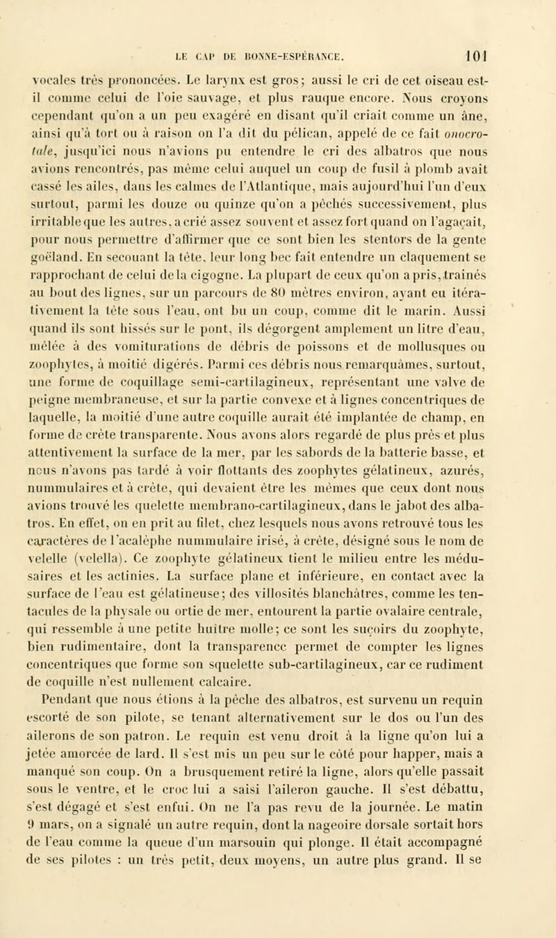 vocales très prononcées. Le larynx est gros; aussi le cri de cet. oiseau est- il comme celui de l'oie sauvage, et plus rauque encore. Nous croyons cependant qu'on a un peu exagéré en disant qu'il criait comme un âne, ainsi qu'à tort ou à raison on l'a dit du pélican, appelé de ce fait onocro- tule, jusqu'ici nous n'avions pu entendre le cri des albatros que nous avions rencontrés, pas même celui auquel un coup de fusil à plomb avait cassé les ailes, dans les calmes de l'Atlantique, mais aujourd'hui l'un d'eux surtout, parmi les douze ou quinze qu'on a péchés successivement, plus irritable que les autres,acrié assez souvent et assez fort quand on l'agaçait, pour nous permettre d'affirmer que ce sont bien les stentors de la gente goéland. En secouant la tète, leur long bec fait entendre un claquement se rapprochant de celui delà cigogne. La plupart de ceux qu'on a pris, traînés au bout des lignes, sur un parcours de 80 mètres environ, ayant eu itéra- tivement la tète sous l'eau, ont bu un coup, comme dit le marin. Aussi quand ils sont hissés sur le pont, ils dégorgent amplement un litre d'eau, mêlée à des vomiturations de débris de poissons et de mollusques ou zoophyles, à moitié digérés. Parmi ces débris nous remarquâmes, surtout, une forme de coquillage semi-cartilagineux, représentant une valve de peigne membraneuse, et sur la partie convexe et à lignes concentriques de laquelle, la moitié d'une autre coquille aurait été implantée de champ, en forme de crête transparente. Nous avons alors regardé de plus près et plus attentivement la surface de la mer, par les sabords de la batterie basse, et nous n'avons pas tardé à voir flottants des zoophytes gélatineux, azurés, nummulaires et à crête, qui devaient être les mêmes que ceux dont nous avions trouvé les quelette membrano-cartilagineux, dans le jabot des alba- tros. En effet, on en prit au filet, chez lesquels nous avons retrouvé tous les caractères de l'acalèphe nummulaire irisé, à crête, désigné sous le nom de velelle (velella). Ce zoophyte gélatineux tient le milieu entre les médu- sai res et les actinies. La surface plane et inférieure, en contact avec la surface de l'eau est gélatineuse; des villosités blanchâtres, comme les ten- tacules de la physale ou ortie de mer, entourent la partie ovalaire centrale, qui ressemble à une petite huître molle; ce sont les suçoirs du zoophyte, bien rudimentaire, dont la transparence permet de compter les lignes concentriques que forme son squelette sub-cartilagineux, car ce rudiment de coquille n'est nullement calcaire. Pendant que nous étions à la pèche des albatros, est survenu un requin escorté de son pilote, se tenant alternativement sur le dos ou l'un des ailerons de son patron. Le requin est venu droit à la ligne qu'on lui a jetée amorcée de lard. Il s'est mis un peu sur le coté pour happer, mais a manqué son coup. On a brusquement retiré la ligne, alors qu'elle passait sous le ventre, et le croc lui a saisi l'aileron gauche. Il s'est débattu, s'est dégagé et s'est enfui. On ne l'a pas revu de la journée. Le matin !t mars, on a signalé un autre requin, dont la nageoire dorsale sortait hors de l'eau comme la queue d'un marsouin qui plonge. Il était accompagné de ses pilotes : un très petit, deux moyens, un autre plus grand. Il se