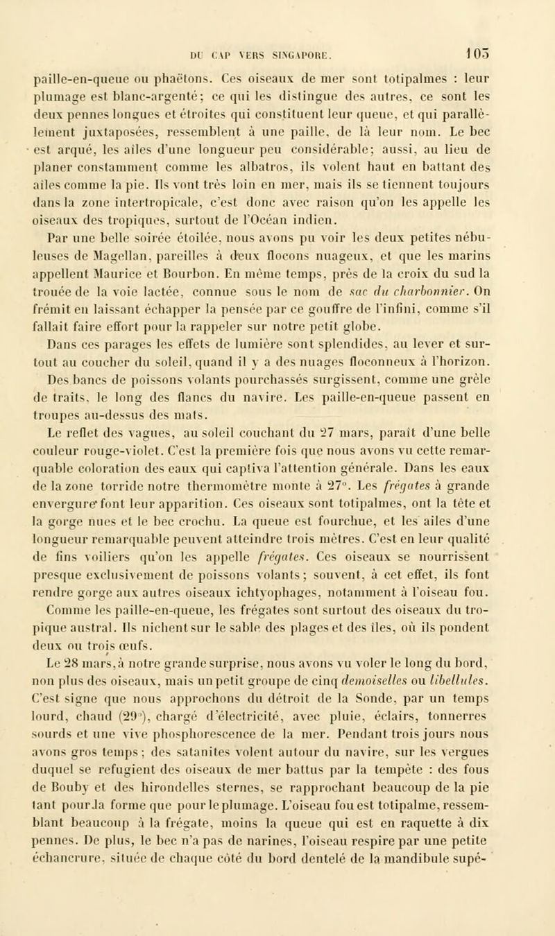 paille-en-queue ou phaëtons. Ces oiseaux de mer sont totipalmes : leur plumage est blanc-argenté; ce qui les distingue des autres, ce sont les deux pennes longues et étroites qui constituent leur queue, et qui parallè- lement juxtaposées, ressemblent à une paille, de là leur nom. Le bec ■ est arqué, les ailes d'une longueur peu considérable; aussi, au lieu de planer constamment comme les albatros, ils volent haut en battant des ailes comme la pie. Ils vont très loin en mer, mais ils se tiennent toujours dans la zone intertropicale, c'est donc avec raison qu'on les appelle les oiseaux des tropiques, surtout de l'Océan indien. Par une belle soirée éloilée, nous avons pu voir les deux petites nébu- leuses de Magellan, pareilles à deux flocons nuageux, et que les marins appellent Maurice et Bourbon. En même temps, près de la croix du sud la trouée de la voie lactée, connue sous le nom de sac ilu charbonnier. On frémit en laissant échapper la pensée par ce gouffre de l'infini, comme s'il fallait faire effort pour la rappeler sur notre petit globe. Dans ces parages les effets de lumière sont splendides. au lever et sur- tout au coucher du soleil, quand il y a des nuages floconneux à l'horizon. Des bancs de poissons volants pourchassés surgissent, comme une grêle de traits, le long des flancs du navire. Les paille-en-queue passent en troupes au-dessus des mats. Le reflet des vagues, au soleil couchant du 27 mars, parait d'une belle couleur rouge-violet. C'est la première fois que nous avons vu cette remar- quable coloration des eaux qui captiva l'attention générale. Dans les eaux de la zone torride notre thermomètre monte à 27. Les frégates à grande envergure*font leur apparition. Ces oiseaux sont totipalmes, ont la tète et la gorge nues et le bec crochu. La queue est fourchue, et les ailes d'une longueur remarquable peuvent atteindre trois mètres. C'est en leur qualité de fins voiliers qu'on les appelle frégates. Ces oiseaux se nourrissent presque exclusivement de poissons volants ; souvent, à cet effet, ils font rendre gorge aux autres oiseaux ichtyophages. notamment à l'oiseau fou. Comme les paille-en-queue, les frégates sont surtout des oiseaux du tro- pique austral. Ils nichent sur le sable des plages et des îles, où ils pondent deux ou trois œufs. Le 28 mars, à notre grande surprise, nous avons vu voler le long du bord, non plus des oiseaux, mais un petit groupe de cinq demoiselles ou libellules. C'est signe que nous approchons du détroit de la Sonde, par un temps lourd, chaud (29'), chargé d'électricité, avec pluie, éclairs, tonnerres sourds et une vive phosphorescence de la mer. Pendant trois jours nous avons gros temps; des satanites volent autour du navire, sur les vergues duquel se réfugient des oiseaux de mer battus par la tempête : des fous de Bouby et des hirondelles sternes, se rapprochant beaucoup de la pie tant pourJa forme que pour le plumage. L'oiseau fou est totipalme, ressem- blant beaucoup à la frégate, moins la queue qui est en raquette à dix pennes. De plus, le bec n'a pas de narines, l'oiseau respire par une petite échancrure. située de chaque côté du bord dentelé de la mandibule supé-