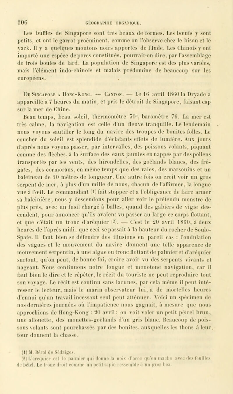 10(î 1,1 OGRAPHIE ORGANIQI B. Les buffles de Singapore sont très beaux de formes. Los bœufs y sont petits, et ont le garrot proéminent, comme on l'observe chez le bison et le yack. Il y a quelques mouton* noirs apportés de l'Inde. Les Chinois y ont importé une espèce de porcs constitues, pourrait-on dire, par l'assemblage de trois boules de lard. La population de Singapore est des plus variées, mais l'élément indo-chinois el malais prédomine de beaucoup sur les européens. DbSingapore a Hong-Kong. — Canton. - Le 16 avril 18601a Dryade a appareillé à 7 heures du malin, et pris le détroit de Singapore. faisant cap sur la mer de Chine. Peau temps, beau soleil, thermomètre 50°, baromètre li. La mer est très calme, la navigation est celle d'un fleuve tranquille. Le lendemain nous voyons sautiller le long du navire de* troupes de bonites folles. Le coucher du soleil est splcmlidc d'éclatants effets de lumière. Aux jours d'après nous voyons passer, par intervalles, des poissons volants, piquant comme des flèches, à la surface des eaux jaunies en nappes par des pollens transportés par les vents, des hirondelles, des goélands Main-, dos fré- gates, des cormorans, en même temps que des raie-. île- marsouins et un baleineau de III mètres de longueur. Une autre fois on croit voir un gros serpent de mer. à plus d'un mille de nous, chacun de l'affirmer, la longue vue à l'œil. Le commandant ' fait stopper et a l'obligeance de faire armer sa baleinière; nous v descendons pour aller voir le prétendu monstre de plus près, avec un fusil chargé à balles, quand des gabiers de vigie des- cendent, pour annoncer qu'ils avaient vu passer au large ce corps flottant, et que c'était un tronc d'aréquier -'). — C'est le 20 avril 1860, à deux heures de l'après midi, que ceci se passai) à la hauteur du rocher de Soulo- Spate. 11 faut bien se défendre des musions en pareil cas : l'ondulation des vagues et le mouvement du navire donnent une telle apparence de mouvement serpentin, à une algi u tronc flottant de palmier et d'aréquier surtout, qu'on peut, de bonne foi, croire avoir vu des serpents \i\anis et nageant. Nous continuons notre longue et monotone navigation, car il faut bien le dire et le répéter, le récit du touriste ne peu! reproduire tout son voyage. Le récit est continu s;uis lacunes, par cela même il peut inté- resser le lecteur, mais le marin observateur lui, a de mortelles heures d'ennui qu'un travail incessant seul peut atténuer. Voici un spécimen de nos dernières journées où l'impatience nous gagnait, à mesure que nous approchions de Hong-Kong : 20 avril : on voit voler un petit pétrel brun, une allouette, des mouettes-goëlands don uns blanc. Beaucoup de pois- sons volants siuii pourchassés parties bonites, auxquelles les thons à leur tour donnent la chasse. (1) M Béral de Sédaiges (3) L'areq r est le palmier qui donne la noix d'arec qu'on maclic avec des feuilles di bétel. Le tronc droit comme un pelil sapin ressemble à un gios boa