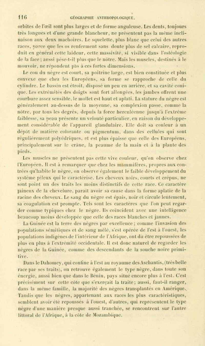 orbites de l'œil sont plus larges et de forme anguleuse. Les dents, toujours très longues el d'une grande blancheur, ne présentent pas la même incli- naison aux deux mâchoires. Le squelette, plus blanc que celui des autres races. >Kre (pie les os renferment sans doute plus de sel calcaire, repro- duit en général celte laideur, celte massivité, si visible dan- l'ostéologie de la face : aussi pèse-t-il plus que le nôtre. Mais les muscles, destinés à le mouvoir, ne répondent pas à ces fortes dimensions. Le cou du nègre est court, sa poitrine large, est bien constituée el plus convexe nue chez les Européens, sa forme se rapproche de celle du c\ lindre. Le bassin est étroit, disposé un peu en arrière, et sa cai iié coni- que. Les extrémités des doigts sont fort allongées, les jambes offrent une courbure assez sensible, le mollet est haut et aplati. La stature du nègre est généralement au-dessus de la moyenne, sa eoinploxion passe, comme la notre, par tous les degrés, depuis la force herculéenne jusqu'à l'extrême faiblesse, sa peau présente un velouté particulier,en raison du dewloppe- uient considérable de l'appareil glandulaire. Elle doit sa couleur à un dépôt de matière colorante ou pigmentum, dans des cellules qui sont régulièrement polyédriques, el es! plus épaisse que celle des Européens, principalement sur le crâne, la peaume de la main el à la plante des pieds. Les muselés ne présentent pas cette vive couleur, qu'on observe chez l'Européen. Il est à remarquer que chez les mammifères, propres aux con- trées qu'habile le nègre, on observe également le faible développement du système pileux qui le caractérise. Les cheveux noirs, courts el crépus, ne sonl point nu des traits les moins distinetifs de cette race. Ce caractère laineux de la chevelure, paraît avoir sa cause dans la forme aplatie de la racine des cheveux. Le sang du nègre esl épais, noir el circule lentement. sa coagulation est prompte. Tels sont les caractères que l'on peut regar- der comme typiques chez le nègre. Us coïncident avec une intelligence beaucoup moins développée que celle des races blanches et punies. La Guinée est la lerre des nègres par excellence: comme l'invasion des populations sémitiques el de sang mêlé, s'esl opérée de l'est à l'ouest, les populations indigènes de l'intérieur de l'Afrique,onl dû être repoussées de plus eu plus à l'extrémité occidentale. H est donc naturel de regarder les nègres de la Gui comme des descendants de la souche noire primi- tive. Dans le Dahomey, qui confine à l'est au royaume des Aschantis, (trèsbelle race par ses traits . ou retrouve également le type nègre, dans toute son énergie, aussi bien que dans le Bénin, pa\ S situe encore plus a l'esl. C'est précisément sur cette côte que s'exerçait la traite: aussi, faut-il ranger, dans la même famille, la majorité des nègres transplantés en Amérique. Tandis que les nègres, appartenant aux races les plus caractéristiques, semblent avoir été repoussés à l'ouest, d'autres, qui représentent le type nègre d'i manière presque aussi tranchée, Be rencontrent sur l'autre littoral de l'Afrique, à la cote de Mozambique.