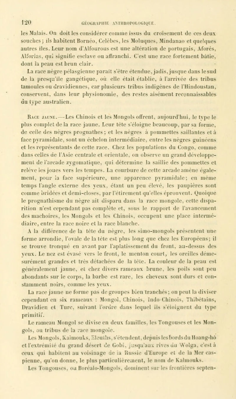 les Malais. On doit les considérer comme issus du croisement de ces deux souches; ils habitent Bornéo, Celèbes, les Holuqties, Uindanao e( quelques autres iles. Leur nom d'Alfourous est une altération de portugais, Aimes. Alforias. qu! signifie esclave ou affranchi. C'est une race follement bâtie, dont la peau est brun clair. La race nègre pélasgienne parait s'être étendue, jadis, jusque dans le sud de la presqu'île gangétique, où elle était établie, à l'arrivée des tribus tamoules mi (Iravidiennes. car plusieurs tribus indigènes de i'Hindoustan, conservent, dans leur physionomie, des restes aisément reconnaissables du type australien. Race jaune.—Les Chinois et lés Mongols offrent, aujourd'hui, le type le plus complet de la race jaune. Leur tète s'éloigne beaucoup, par s;i forme, de celle des nègres prognathes : et les nègres à pommettes saillantes et à face pyramidale, sont un échelon intermédiaire, entre les nègres guinéens et les représentants de celte race. Chez les populations du Congo, comme dans celles de l'Asie centrale et orientale, on observe un grand développe- ment tic i'aivade zygomatique. qui détermine la saillie des pommettes et relève les joues vers les tempes. La courbure de cette arcade amène égale- ment, pour ia face supérieure, une apparence pyramidale; en même temps l'angle externe des yeux, étant un peu élevé, les paupières sont comme bridées et demi-closes, par l'étirement qu'elles éprouvent. Quoique le prognathisme du nègre ait disparu dans la race mongole, celle dispa- rition n'est cependant pas complète et. sens le rapport de l'avancement des mâchoires, les Mongols et les Chinois, occupent une place intermé- diaire, entre la race noire et la race blanche. A la différence de la tète du pègre, les simo-mongols présentent une forme arrondie, l'ovale de la tête est plus long que chez les Européens; il se trouve tronqué en avant par l'aplatissement du front, au-dessus îles yeux. Le nez est évasé vers le front, le menton court, les oreilles déme- surément grandes et très détachées de la tête. La couleur de la peau est généralement jaune, et chez divers rameaux brune, les poils sont peu abondants sur le corps, la barbe es| rare, les eiio\eux Sont durs ci con- stamment noirs, comme les yeux. La race jaune ne forme pas de groupes bien tranchés; on peut la di\ iser cependant en six. rameaui : Mongol, Chinois, Indo Chinois, Thibétains, Dravidîen et Turc, suivant l'ordre dans lequel lis s'éloignent du type primitif. Le rameau Mongol se di\ ise en deux familles, les Tongouses et les Mon- gols, ou tribus île la race mongole. Les Mongols, Kalmouks, Eleuths, s'étendent, depuis lesBordsdu Hoang-ho et l'extrémité du grand désert de Gobi, squ'aux rives du tVolga, c'est à ceux qui habitent au voisinage le ... Russie d'Europe et de la Mer Cas- pienne, qu'on donne, le pins particulièrement, le nom de Kalmouks. Les Tongouses, ou Boréalo-Mongols, dominent sur les frontières septen-