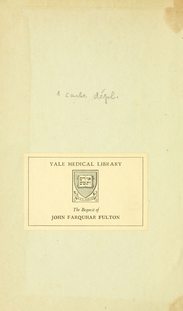 digitised image 2