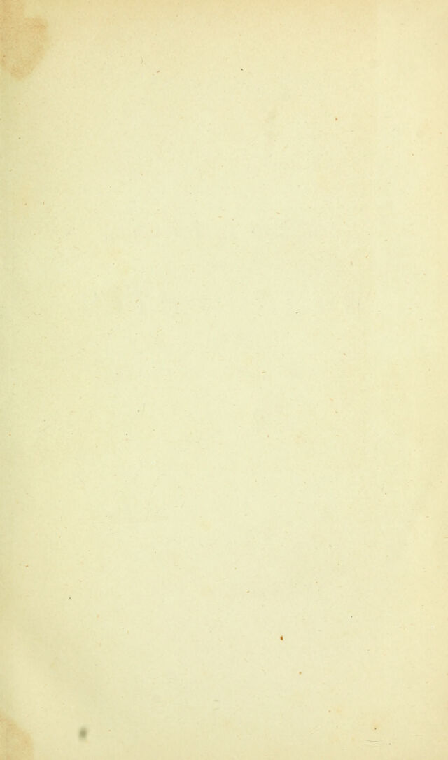 digitised image 3