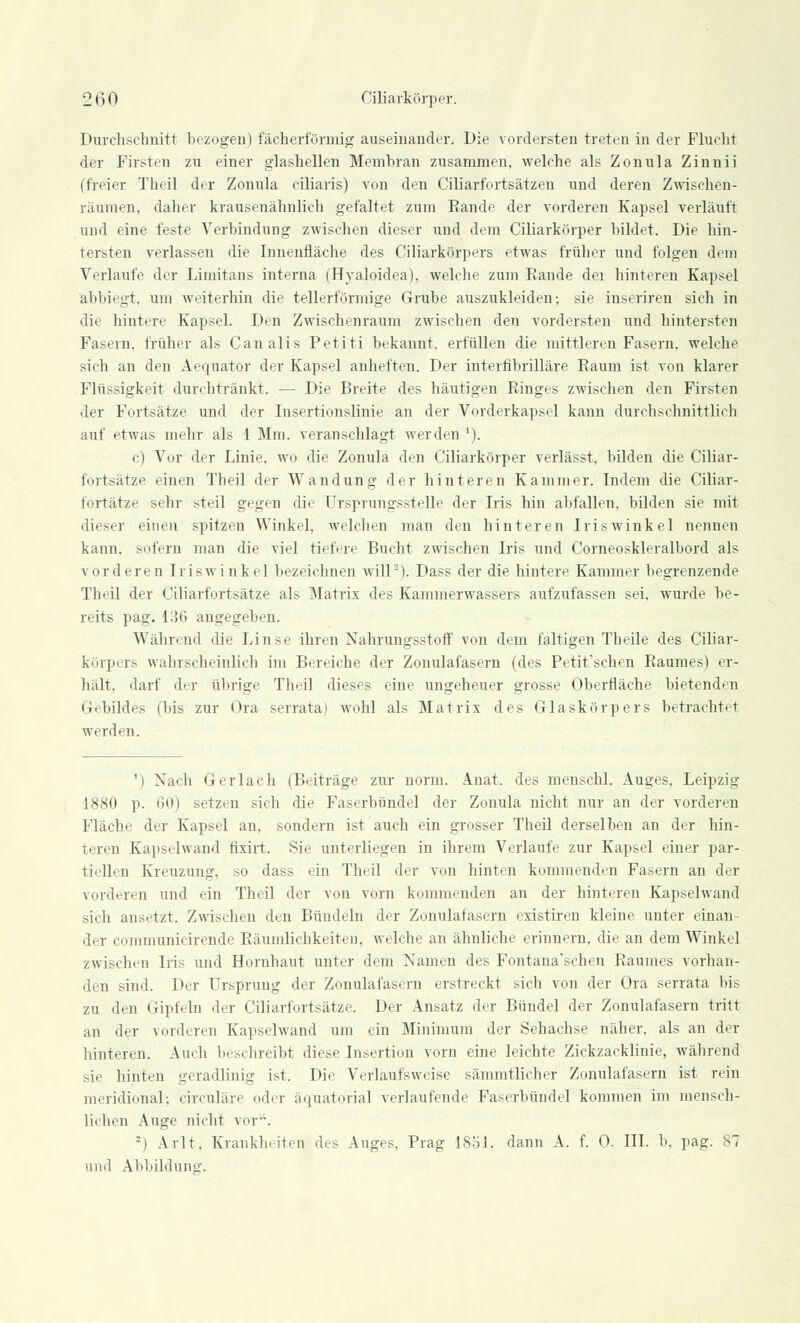 Durchschnitt bezogen) fächerförmig auseinander. Die vordersten treten in der Flucht der Firsten zu einer glashellen Membran zusammen, welche als Zonula Zinnii (freier Theil der Zonula ciliaris) von den Ciliarfortsätzen und deren Zwischen- räumen, daher krausenähnlich gefaltet zum Bande der vorderen Kapsel verläuft und eine feste Verbindung zwischen dieser und dem Ciliarkörper bildet. Die hin- tersten verlassen die Innenfläche des Ciliarkörpers etwas früher und folgen dem Verlaufe der Limitans interna (Hyaloidea), welche zum Bande dei hinteren Kapsel abbiegt, um weiterhin die tellerförmige Grube auszukleiden; sie inseriren sich in die hintere Kapsel. Den Zwischenraum zwischen den vordersten und hintersten Fasern, früher als Canalis Petiti bekannt, erfüllen die mittleren Fasern, welche sich an den Aequator der Kapsel anheften. Der interfibrilläre Baum ist von klarer Flüssigkeit durchtränkt. — Die Breite des häutigen Binges zwischen den Firsten der Fortsätze und der Insertionslinie an der Vorderkapsel kann durchschnittlich auf etwas mehr als 1 Mm. veranschlagt werden '). c) Vor der Linie, wo die Zonula den Ciliarkörper verlässt. bilden die Ciliar- fortsätze einen Theil der Wandung der hinteren Kammer. Indem die Ciliar- fortätze sehr steil gegen die Ursprungsstelle der Iris hin abfallen, bilden sie mit dieser einen spitzen Winkel, welchen man den hinteren Iriswinkel nennen kann, sofern man die viel tiefere Bucht zwischen Iris und Corneoskleralbord als vorderen Iriswinkel bezeichnen will2). Dass der die hintere Kammer begrenzende Theil der Ciliarfortsätze als Matrix des Kammerwassers aufzufassen sei, wurde be- reits pag. 136 angegeben. Während die Linse ihren Nahrungsstoff von dem faltigen Theile des Ciliar- körpers wahrscheinlich im Bereiche der Zonulafasern (des Petit'schen Baumes) er- hält, darf der übrige Theil dieses eine ungeheuer grosse Oberfläche bietenden Gebildes (bis zur Ora serrata) wohl als Matrix des Glaskörpers betrachtet werden. ') Nach Gerlach iBeiträge zur norm. Anat. des menschl. Auges. Leipzig 1880 p. 60) setzen sich die Faserbündel der Zonula nicht nur an der vorderen Fläche der Kapsel an, sondern ist auch ein grosser Theil derselben an der hin- teren Kapselwand fixirt. Sie unterliegen in ihrem Verlaufe zur Kapsel einer par- tiellen Kreuzung, so dass ein Theil der von hinten kommenden Fasern an der vorderen und ein Theil der von vorn kommenden an der hinteren Kapselwand sich ansetzt. Zwischen den Bündeln der Zonulafasern existiren kleine unter einan- der communicirende Bäumlichkeiten. welche an ähnliche erinnern, die an dem Winkel zwischen Iris und Hornhaut unter dem Namen des Fontana'schen Baumes vorhan- den sind. Der Ursprung der Zonulafasern erstreckt sich von der Ora serrata bis zu den Gipfeln der Ciliarfortsätze. Der Ansatz der Bündel der Zonulafasern tritt an der vorderen Kapselwand um ein Minimum der Sehachse näher, als an der hinteren. Auch beschreibt diese Insertion vorn eine leichte Zickzacklinie, während sie hinten geradlinig ist. Die Verlaufsweise sämmtlicher Zonulafasern ist rein meridional; circuläre oder äquatorial verlaufende Faserbündel kommen im mensch- lichen Auge nicht vor. 2i Arlt. Kränkln iten des Auges, Prag 1851. dann A. f. 0. III. b, pag. 87 und Abbildung.