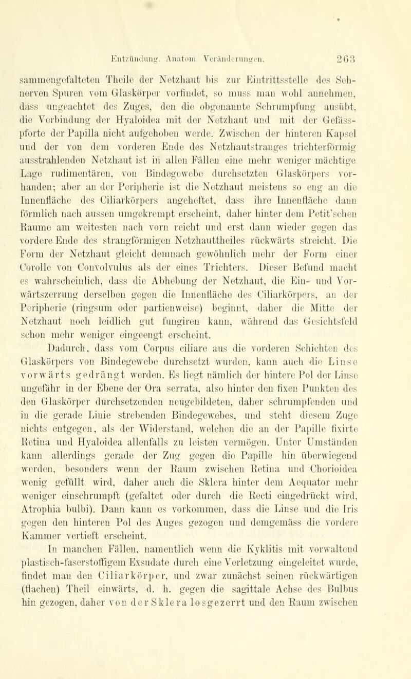 sammengefalteten Theile der Netzhaut bis zur Eintrittsstelle des Seh- nerven Spuren vom Glaskörper vorfindet, So muss man wohl annehmen, dass ungeachtet des Zuges, den die obgenannte Schrumpfung ausübt, die Verbindung der Hyaloidea mit der Netzhaut und mit der Gefäss- pforte der Papilla nicht aufgehoben werde. Zwischen der hinteren Kapsel und der von dem vorderen Ende des Netzhautstranges trichterförmig ausstrahlenden Netzhaut ist in allen Fällen eine mehr weniger mächtige Lage rudimentären, von Bindegewebe durchsetzten Glaskörpers vor- handen; aber an der Peripherie ist die Netzhaut meistens so eng an die Innenfläche des Ciliarkörpers angeheftet, dass ihre Innenfläche dann förmlich nach aussen umgekrempt erscheint, daher hinter dem Petit'schen Räume am weitesten nach vorn reicht und erst dann wieder gegen das vordere Ende dos strangförmigen Netzhauttheiles rückwärts streicht. Die Form der Netzhaut gleicht demnach gewöhnlich mehr der Form einer Corolle von Convolvulus als der eines Trichters. Dieser Befund macht es wahrscheinlich, dass die Abhebung der Netzhaut, die Ein- und Vor- wärtszerrung derselben gegen die Innenfläche des Ciliarkörpers, an der Peripherie (ringsum oder partienweise) beginnt, daher die Mitte der Netzhaut noch leidlich gut fungiren kann, während das Gesichtsfeld schon mehr weniger eingeengt erscheint. Dadurch, dass vom Corpus ciliare aus die vorderen Schichten des Glaskörpers von Bindegewebe durchsetzt wurden, kann auch die Linse vorwärts gedrängt werden. Es liegt nämlich der hintere Pol der Linse ungefähr in der Ebene der Ora serrata, also hinter den fixen Punkten des den Glaskörper durchsetzenden neugebildeten, daher schrumpfenden und in die gerade Linie strebenden Bindegewebes, und steht diesem Zuge nichts entgegen, als der Widerstand, welchen die an der Papille fixirte Retina und Hyaloidea allenfalls zu leisten vermögen. Unter Umständen kann allerdings gerade der Zug gegen die Papille hin überwiegend werden, besonders wenn der Raum zwischen Retina und Chorioidea wenig gefüllt wird, daher auch die Sklera hinter dem Aequator mehr weniger einschrumpft (gefaltet oder durch die Recti eingedrückt wird, Atrophia bulbi). Dann kann es vorkommen, dass die Linse und die Iris gegen den hinteren Pol des Auges gezogen und demgemäss die vordere Kammer vertieft erscheint. In manchen Fällen, namentlich wenn die Kjklitis mit vorwaltend plastisch-faserstoffigem Exsudate durch eine Verletzung eingeleitet wurde, findet man den Ciliarkörper, und zwar zunächst seinen rückwärtigen (flachen) Theil einwärts, d. h. gegen die sagittale Achse des Bulbus hin gezogen, daher von der Sklera losgezerrt und den Raum zwischen