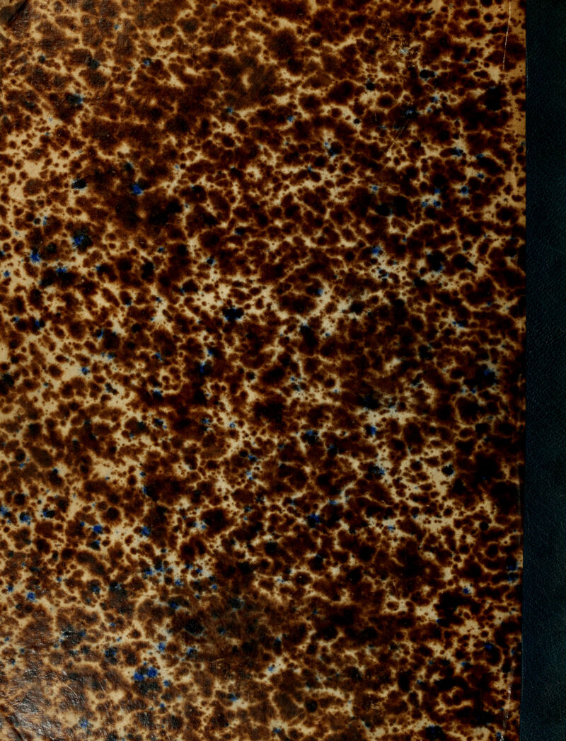 -v>» ^■^'-iec^-* j/.i>i^. n>^ -R 1 ■^àkÀ». >^L k K; ,7' ■-** /kr -