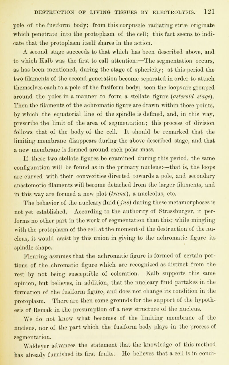 pole of the fusiform body; from this corpuscle radiating strise originate which penetrate into the protoplasm of the cell; this fact seems to indi- cate that the protoplasm itself shares in the action. A second stage succeeds to that which has been described above, and to which Kalb was the first to call attention:—The segmentation occurs, as has been mentioned, during the stage of sphericity; at this period the two filaments of the second generation become separated in order to attach themselves each to a pole of the fusiform body; soon the loops are grouped around the poles in a manner to form a stellate figure {asteroid stage). Then the filaments of the achromatic figure are drawn within those points, by which the equatorial line of the spindle is defined, and, in this way, prescribe the limit of the area of segmentation; this process of division follows that of the body of the cell. It should be remarked that the limiting membrane disappears during the above described stage, and that a new membrane is formed around each polar mass. If these two stellate figures be examined during this period, the same configuration will be found as in the primary nucleus:—that is, the loops are curved with their convexities directed towards a pole, and secondary anastomotic filaments will become detached from the larger filaments, and in this way are formed a new plot {frame), a nucleolus, etc. The behavior of the nucleary fluid {jus) during these metamorphoses is not yet established. According to the authority of Strassburger, it per- forms no other part in the work of segmentation than this; while mingling with the protoplasm of the cell at the moment of the destruction of the nu- cleus, it would assist by this union in giving to the achromatic figure its spindle shape. Fleuring assumes that the achromatic figure is formed of certain por- tions of the chromatic figure which are recognized as distinct from the rest by not being susceptible of coloration. Kalb supports this same opinion, but believes, in addition, that the nucleary fluid partakes in the formation of the fusiform figure, and does not change its condition in the protoplasm. There are then some grounds for the support of the hypoth- esis of Remak in the presumption of a new structure of the nucleus. We do not know what becomes of the limiting membrane of the nucleus, nor of the part which the fusiform body plays in the process of segmentation. Waldeyer advances the statement that the knowledge of this method has already furnished its first fruits. He believes that a cell is in condi-