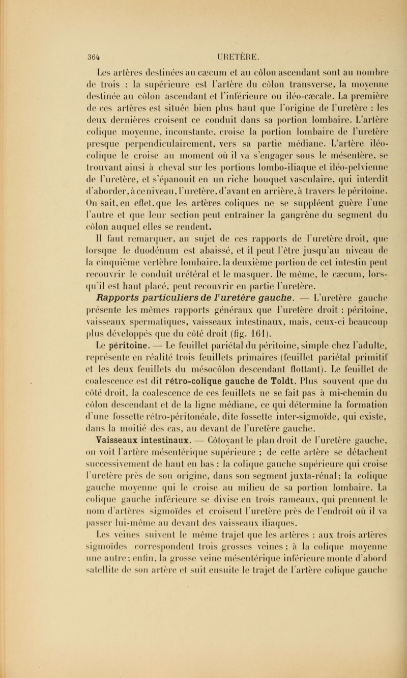 Les artères destinées au caecum et au côlon ascendant sont au nombre de trois : la supérieure est l'artère du colon transverse, la moyenne destinée au côlon ascendant et l'intérieure ou iléo-caeeale. La première de ces artères est située bien plus haut que l'origine de l'uretère : les deux dernières croisent ce conduit dans sa portion lombaire. L'artère colique moyenne, inconstante, croise la portion lombaire de l'uretère presque perpendiculairement, vers sa partie médiane. L'artère iléo- colique le croise au moment où il va s'engager sous le mésentère, se trouvant ainsi à cheval sur les portions lombo-iliaque et iléo-pelvienne de l'uretère, et s'épanouit en un riche bouquet vasculaire, qui interdit d'aborder, à ce ni veau, l'uretère, d'avant en arrière, à travers le péritoine. Onsait, en efïet,que les artères coliques ne se suppléent guère l'une l'autre et que leur section peut entraîner la gangrène du segment du côlon auquel elles se rendent. 11 faut remarquer, au sujet de ces rapports de l'uretère droit, que lorsque le duodénum est abaissé, et il peut l'être jusqu'au niveau de la cinquième vertèbre lombaire, la deuxième portion de cet intestin peut recouvrir le conduit urétéral et le masquer. De même, le caecum, lors- qu'il est haut placé, peut recouvrir en partie l'uretère. Rapports particuliers de l'uretère gauche. — L'uretère gauche présente les mêmes rapports généraux que l'uretère droit : péritoine, vaisseaux spermatiques, vaisseaux intestinaux, mais, ceux-ci beaucoup plus développés que du côté droit (fig. 161). Le péritoine. — Le feuillet pariétal du péritoine, simple chez l'adulte, représente en réalité trois feuillets primaires (feuillet pariétal primitif cl les deux feuillets du mésocôlon descendant flottant). Le feuillet de coalescence est dit rétro-colique gauche de Toldt. Plus souvent que du côté droit, la coalescence de ces feuillets ne se fait pas à mi-chemin du côlon descendant et de la ligne médiane, ce qui détermine la formation d'une fossette rétro-péritonéale, dite fossette inter-sigmoïde, qui existe, dans la moitié des cas, au devant de l'uretère gauche. Vaisseaux intestinaux. — Côtoyant le plan droit de l'uretère gauche, on voit l'artère mésentérique supérieure ; de celle artère se détachenl successivement de haut en bas : la colique gauche supérieure qui croise l'uretère près de son origine, dans son segment juxla-rénal; la colique gauche moyenne qui le croise au milieu de sa portion lombaire, fa colique gauche inférieure se divise en trois rameaux, qui prennent le nom d'artères sigmoïdes et croisent l'uretère près de l'endroit où il va passer lui-même au devant des vaisseaux iliaques. Les veilles suivent le même trajet (pie les artères : aux trois artères sigmoïdes correspondent trois grosses veines; à la colique moyenne une autre; enfin, la grosse veine mésentérique inférieure monte d'abord satellite de son artère et suit ensuite le trajet de tarière colique gauche