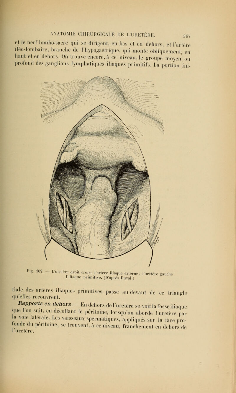 et le nerf lombo-sacré qui se dirigent, en bas et en dehors, et l'artère iléo-lombaire, branche de l'hypogastrique, qui monte obliquement, en haut et en dehors. On trouve encore, à ce niveau, le groupe moyen ou profond des ganglions lymphatiques iliaques primitifs. La portion ini- Fis L'uretère droit croise l'artère ili l'iliaque primitive. (D'après Durai aque externe ; l'uretère gauche tiale (les artères iliaques primitives passe au devant de ce triangle (|u elles recouvrent. Rapports en dehors. - En dehors de l'uretère se voit la fosse iliaque que 1 on su.t, en décollant le péritoine, lorsqu'on aborde l'uretère par la voie latérale. Les vaisseaux spermatiques, appliqués sur la face pro- onde du péritoine, se trouvent, à ce niveau, franchement en dehors de I uretère.