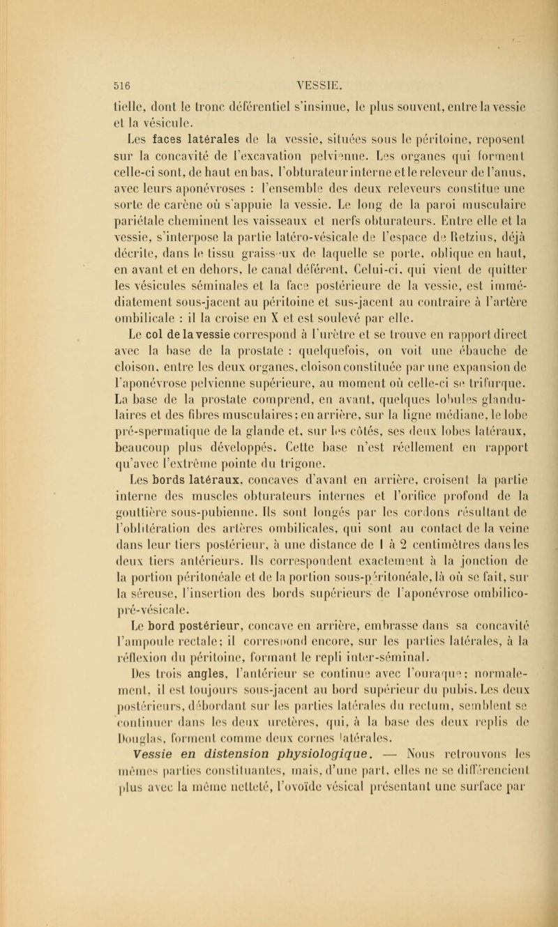 tielle, dont le tronc déférentiel s'insinue, le plus souvent, entre la vessie et la vésicule. Les faces latérales de la vessie, situées sous le péritoine, reposent sur la concavité de l'excavation pelvienne. Les organes qui forment celle-ci sont, de haut en bas, l'obturateur interne et le releveur de l'anus, avec leurs aponévroses : l'ensemble des deux releveurs constitue une sorte de carène où s'appuie la vessie. Le long de la paroi musculaire pariétale cheminent les vaisseaux et nerfs obturateurs. Entre elle et la vessie, s'interpose la partie latéro-vésicale de l'espace de Retzius, déjà décrite, dans le tissu graiss ux de laquelle se porte, oblique en haut, en avant et en dehors, le canal déférent, Celui-ci, qui vient de quitter les vésicules séminales et la face postérieure de la vessie, est immé- diatement sous-jacent au péritoine et sus-jacent au contraire à l'artère ombilicale : il la croise en X et est soulevé par elle. Le col de la vessie correspond à l'urètre et se trouve en rapport direct avec la base de la prostate : quelquefois, on voit une ébauche de cloison, entre les deux organes, cloison constituée par une expansion de l'aponévrose pelvienne supérieure, au moment où celle-ci se trifurque. La base de la prostate comprend, en avant, quelques lobules glandu- laires et des fibres musculaires ; en arrière, sur la ligne médiane, le lobe pré-spermatique de la glande et, sur les côtés, ses deux lobes latéraux, beaucoup plus développés. Cette base n'est réellement en rapport qu'avec l'extrême pointe du trigone. Les bords latéraux, concaves d'avant en arrière, croisent la partie interne des muscles obturateurs internes et l'orifice profond de la gouttière sous-pubienne. Ils sont longés par les cordons résultant de l'oblitération des artères ombilicales, qui sont au contact de la veine dans leur tiers postérieur, à une distance de I à 2 centimètres dans les deux tiers antérieurs. Ils correspondent exactement à la jonction de la portion péritonéale et de la portion sous-p îritonéale,là où se fait, sur la séreuse, l'insertion des bords supérieurs de l'aponévrose ombilieo- pré-vésicale. Le bord postérieur, concave en arrière, embrasse dans sa concavité l'ampoule rectale; il correspond encore, sur les parties latérales, à la réflexion du péritoine, formant le repli inter-séminal. Des trois angles, l'antérieur se continue avec l'ouraque; normale- ment, il est toujours sous-jacent au bord supérieur du pubis.Les deux posl rieurs, débordant sur les parties latérales du rectum, semblent se continuel' dans les deux uretères, <|iii, à la base des deux replis de Douglas, forment connue deux cornes latérales. Vessie en distension physiologique. — Nous retrouvons les mêmes parties constituantes, mais, d'une part, elles ne se différencient plus avec la même netteté, l'ovoïde vésical présentant une surface par