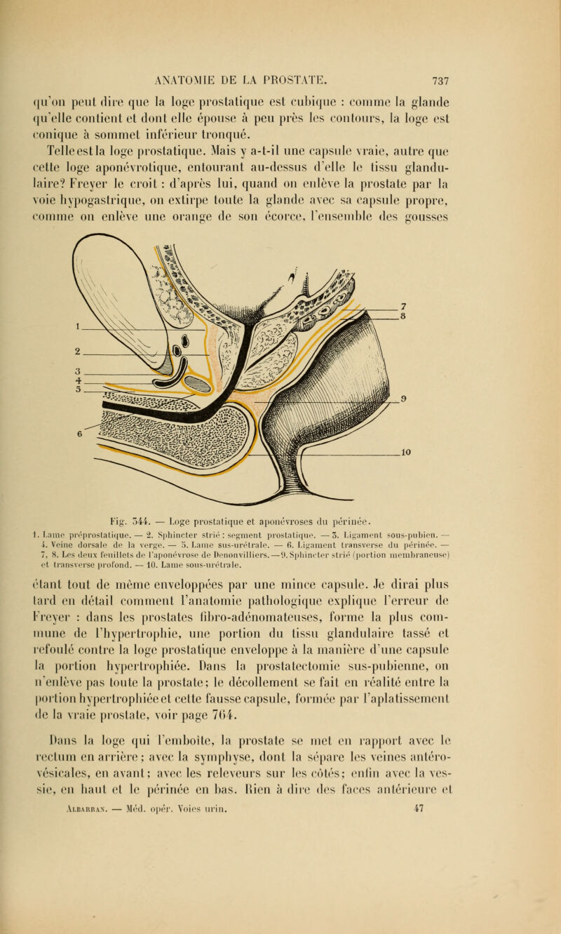 qu'on peut dire que la loge prostatique est cubique : comme la glande qu'elle contient et dont elle épouse à peu près les contours, la loge est conique à sommet inférieur tronqué. Telle est la loge prostatique. Mais y a-t-il une capsule vraie, autre que cette loge aponévrotique, entourant au-dessus d'elle le tissu glandu- laire? Freyer le croit : d'après lui, quand on enlève la prostate par la voie hypogastrique, on extirpe toute la glande avec sa capsule propre, comme on enlève une orange de son écorce, l'ensemble des gousses Fig. 544. — Loge prostatique et aponévroses du périnée. I. Lame préprostatique. — 2. Sphincter strié : segment prostatique. —3. Ligament sous-pubien.— i. Veine dorsale de la verge. — o. Lame sus-urétrale. — 6. Ligament transverse du périnée. — 7, 8. Les deux feuillets de l'aponévrose de Denonvilliers. — 9. Sphincter strié (portion membraneuse) et transverse profond. — 10. Lame sous-urétrale. étant tout de môme enveloppées par une mince capsule. Je dirai plus tard en détail comment l'anatomie pathologique explique l'erreur de Freyer : dans les prostates fîbro-adénomateuses, forme la plus com- mune de l'hypertrophie, une portion du tissu glandulaire tassé et refoulé contre la loge prostatique enveloppe à la manière d'une capsule la portion hypertrophiée. Dans la prostatectomie sus-pubienne, on n'enlève pas toute la prostate; le décollement se fait en réalité entre la portion hypertrophiée et cette fausse capsule, formée par l'aplatissement de la vraie prostate, voir page 704. Dans la loge qui l'emboîte, la prostate se met en rapport avec le rectum en arrière ; avec la symphyse, dont la sépare les veines antéro- vésicales, en avant; avec les relcvcurs sur les côtés; enfin avec la ves- sie, en haut et le périnée en bas. Rien à dire des faces antérieure et Albarran. — Méd. opér. Voies urin. 47