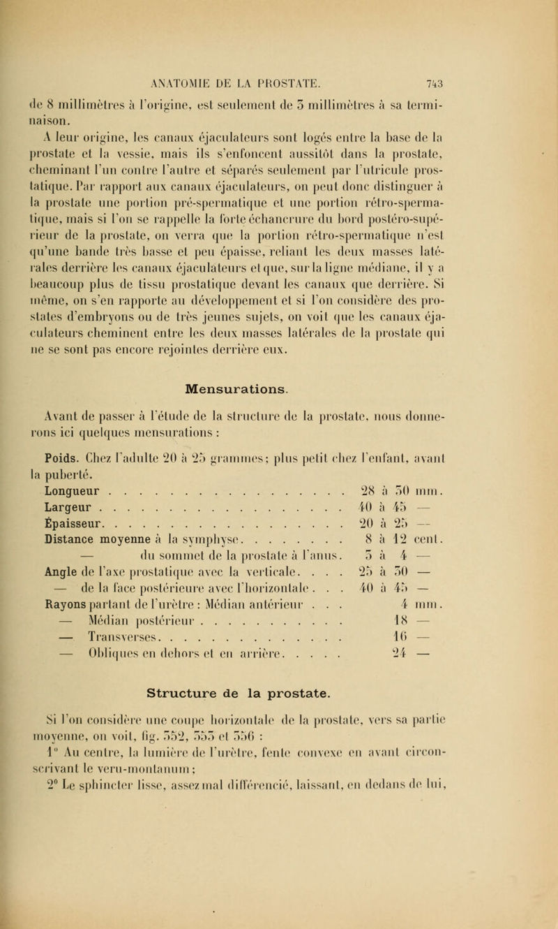 de 8 millimètres à l'origine, est seulement de 5 millimètres à sa termi- naison. A leur origine, les canaux éjaculateurs sont logés entre la base de la prostate et la vessie, mais ils s'enfoncent aussitôt dans la prostate, cheminant l'un contre l'autre et séparés seulement par l'utricule pros- tatique. Par rapport aux canaux éjaculateurs, on peut donc distinguer a la prostate une portion pré-spermatique et une portion rétro-sperma- tique, mais si l'on se rappelle la forte échancrure du bord postéro-supé- rieur de la prostate, on verra que la portion rétro-spermatique n'est qu'une bande très basse et peu épaisse, reliant les deux masses laté- rales derrière les canaux éjaculateurs et que, sur la ligne médiane, il y a beaucoup plus de tissu prostatique devant les canaux que derrière. Si même, on s'en rapporte au développement et si l'on considère des pro- states d'embryons ou de très jeunes sujets, on voit que les canaux éja- culateurs cheminent entre les deux masses latérales de la prostate qui ne se sont pas encore rejointes derrière eux. Mensurations. Avant de passer à l'étude de la structure de la prostate, nous donne- rons ici quelques mensurations : Poids. Chez l'adulte 20 à 25 grammes; plus petit chez l'enfant, avant la puberté. Longueur 28 à 50 mm. Largeur 40 à 45 — Épaisseur 20 à 25 — Distance moyenne à la symphyse 8 à 12 cent. du sommet de la prostate à l'anus. 5 à 4 — Angle de l'axe prostatique avec la verticale. ... 25 à 50 — — de la face postérieure avec l'horizontale ... 40 à 45 — Rayons partant de l'urètre : Médian antérieur ... 4 mm. — Médian postérieur 18 — — Transverses 10 — — Obliques en dehors et en arrière 24 — Structure de la prostate. Si l'on considère une coupe horizontale de la prostate, vers sa partie moyenne, on voit, fig. 552, 555 et 556 : 1° Au centre, la lumière de l'urètre, fente convexe en avant circon- scrivant le veru-montanum ; 2° Le sphincter lisse, assez mal différencié, laissant, eu dedans de lui,