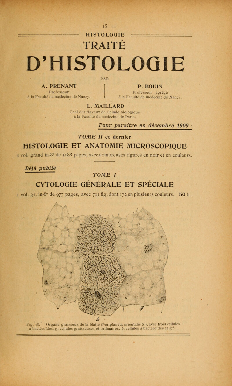 HISTOLOGIE TRAITÉ D'HISTOLOGIE PAR A. PRENANT Professeur à la Faculté de médecine de Nancy P. BOUIN Professeur agrégé à la Faculté de médecine de Nancy. L. MAILLARD Chef des travaux de Chimie biologique à la Faculté de médecine de Paris. Pour paraître en décembre 1909 TOME II et dernier HISTOLOGIE ET ANATOMIE MICROSCOPIQUE ï vol. grand in-8° de 1088 pages, avec nombreuses figures en noir et en couleurs, Déjà publié TOME I CYTOLOGIE GÉNÉRALE ET SPÉCIALE 1 vol. gr. in-8° de 977 pages, avec 791 fi g. dont 172 en plusieurs couleurs. 50 fr. ^m^m ■■■/ / v' Mwêpi . ■>. KW'*U . W >v '••/■-, v; 6 Fig. 7;'.. Organe graisseux de la blatte (Periplaneta orientalis S.), avec trois cellules a bactéroïdes. g, cellules graisseuses et ordinaires, b, cellules à bactéroïdes et 375.