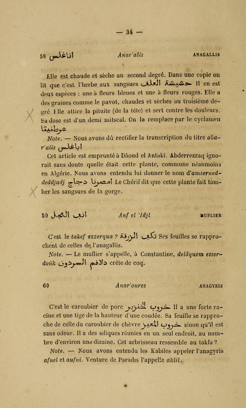 58 «wd^U! Ânar'alis anagallis Elle est chaude et sèche au second degré. Dans une copie on lit que c'est l'herbe aux sangsues *_>-U3t &£*+&=*. 11 en est deux espèces : une à fleurs bleues et une à fleurs rouges. Elle a des graines comme le pavot, chaudes et sèches au troisième de- gré 1 lie attire la pituite (de la tête) et sert contre les douleurs. Sa dose est d'un demi mitscal. On la remplace par le cyclamen ^oie. — Nous avons dû rectifier la transcription du titre ala- r'alis (jwJMj! Cet article est emprunté à Dâoud el Antaki. Abderrezzaq igno- rait sans doute quelle était cette plante, commune néanmoins en Algérie. Nous avons entendu lui donner le nom d'amserned- deddjadj ^W*à \jj.xa.s>] Le Chérif dit que cette plante fait tom- ber les sangsues de la gorge. 59 tKaSJl (^Oi Anf el 'Idjl moflier C'est le takef ezzerqua ? £ij\Jl ^53 Ses feuilles se rappro- chent de celles de l'anagallis. Noie. — Le muflier s'appelle, à Constanline, delâquem esser- doiik ojij.**ii (fi^d crête de coq. 60 Anar'oures anagyris C'est le caroubier de porc *.jj.a=I Oivï*. Il a une forte ra- cine et une tige de la hauteur d'une coudée. Sa feuille se rappro- che de celle du caroubier de chèvre VaxII cjjvi». sinon qu'il est sans odeur. 11 a des siliques réunies en un seul endroit, au nom- bre d'environ une dizaine. Cet arbrisseau ressemble au takfa ? Note. — Nous avons entendu les Kabiles appeler l'anagyris afnel elaufni. Venture de Paradis l'appelle aklil.
