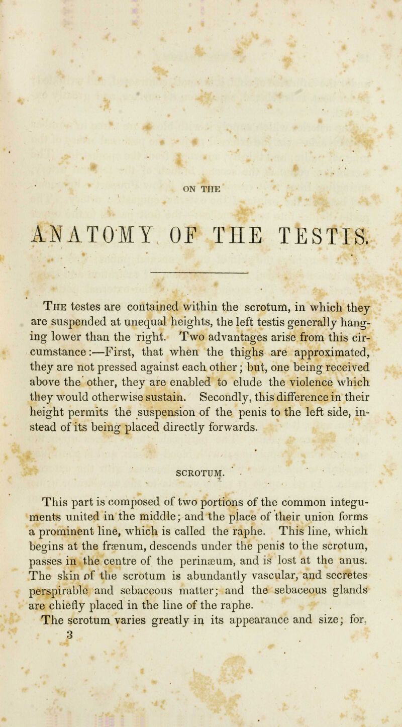 4r ON THE ANATOMY OE THE TESTIS. The testes are contained within the scrotum, in which they are suspended at unequal heights, the left testis generally hang- ing lower than the right. Two advantages arise from this cir- cumstance :—First, that when the thighs are approximated, they are not pressed against each other; but, one being received above the other, they are enabled to elude the violence which they would otherwise sustain. Secondly, this difference in their height permits the suspension of the penis to the left side, in- stead of its being placed directly forwards. scrotum. This part is composed of two portions of the common integu- ments united in the middle; and the place of their union forms a prominent line, which is called the raphe. This line, which begins at the frsenum, descends under the penis to the scrotum, passes in the centre of the perinaeum, and is lost at the anus. The skin of the scrotum is abundantly vascular, and secretes perspirable and sebaceous matter; and the sebaceous glands are chiefly placed in the line of the raphe. The scrotum varies greatly in its appearance and size; for.