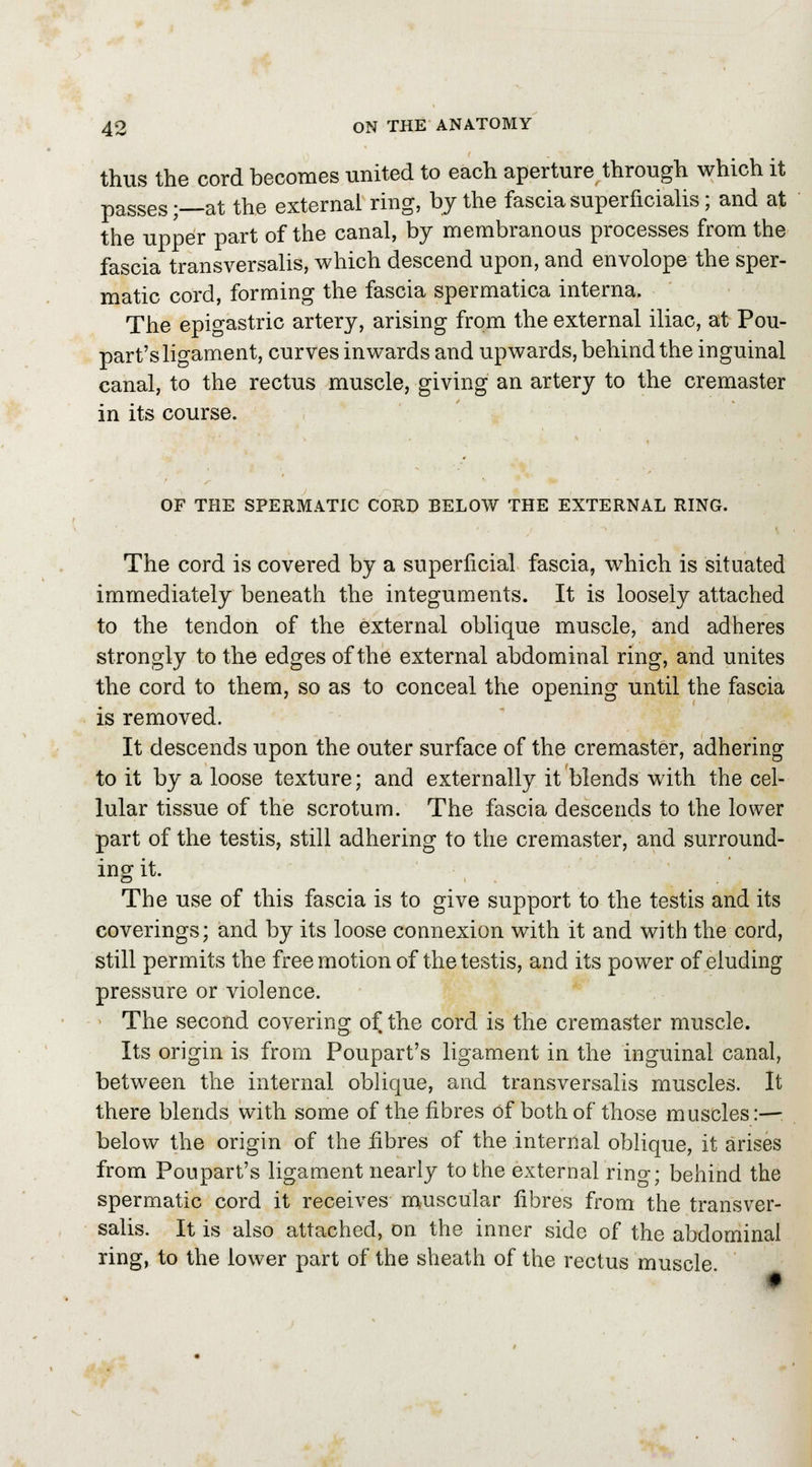 thus the cord becomes united to each aperture through which it passes;—at the external ring, by the fasciasuperficialis; and at the upper part of the canal, by membranous processes from the fascia transversalis, which descend upon, and envolope the sper- matic cord, forming the fascia spermatica interna. The epigastric artery, arising from the external iliac, at Pou- part's ligament, curves inwards and upwards, behind the inguinal canal, to the rectus muscle, giving an artery to the cremaster in its course. OF THE SPERMATIC CORD BELOW THE EXTERNAL RING. The cord is covered by a superficial fascia, which is situated immediately beneath the integuments. It is loosely attached to the tendon of the external oblique muscle, and adheres strongly to the edges of the external abdominal ring, and unites the cord to them, so as to conceal the opening until the fascia is removed. It descends upon the outer surface of the cremaster, adhering to it by a loose texture; and externally it blends with the cel- lular tissue of the scrotum. The fascia descends to the lower part of the testis, still adhering to the cremaster, and surround- ing it. The use of this fascia is to give support to the testis and its coverings; and by its loose connexion with it and with the cord, still permits the free motion of the testis, and its power of eluding pressure or violence. The second covering of the cord is the cremaster muscle. Its origin is from Poupart's ligament in the inguinal canal, between the internal oblique, and transversalis muscles. It there blends with some of the fibres of both of those muscles:— below the origin of the fibres of the internal oblique, it arises from Poupart's ligament nearly to the external rino-; behind the spermatic cord it receives muscular fibres from the transver- salis. It is also attached, on the inner side of the abdominal ring, to the lower part of the sheath of the rectus muscle.