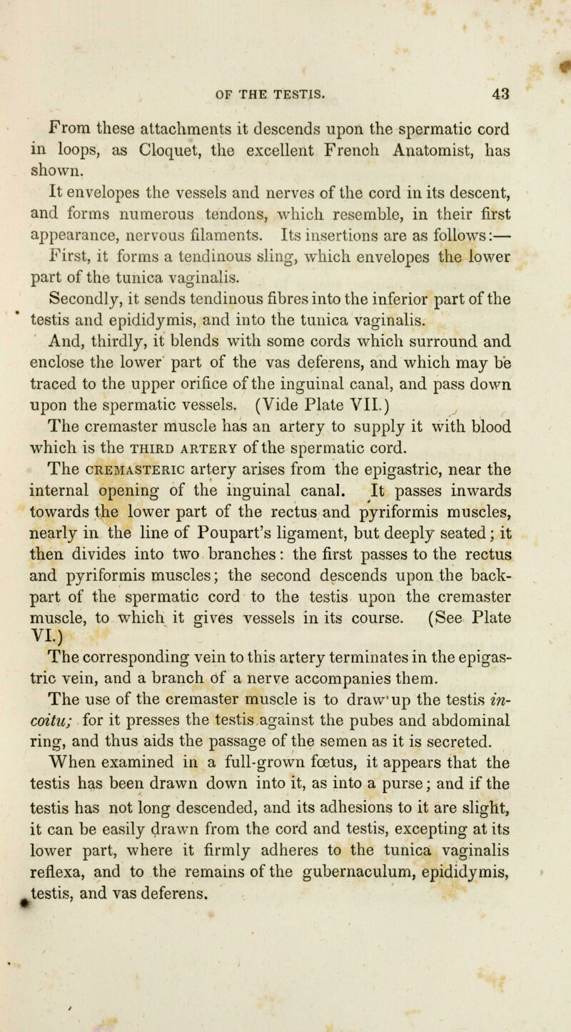 From these attachments it descends upon the spermatic cord in loops, as Cloquet, the excellent French Anatomist, has shown. It envelopes the vessels and nerves of the cord in its descent, and forms numerous tendons, which resemble, in their first appearance, nervous filaments. Its insertions are as follows:— First, it forms a tendinous sling, which envelopes the lower part of the tunica vaginalis. Secondly, it sends tendinous fibres into the inferior part of the testis and epididymis, and into the tunica vaginalis. And, thirdly, it blends with some cords which surround and enclose the lower part of the vas deferens, and which may be traced to the upper orifice of the inguinal canal, and pass down upon the spermatic vessels. (Vide Plate VII.) The cremaster muscle has an artery to supply it with blood which is the third artery of the spermatic cord. The cremasteric artery arises from the epigastric, near the internal opening of the inguinal canal. It passes inwards towards the lower part of the rectus and pyriformis muscles, nearly in the line of Poupart's ligament, but deeply seated; it then divides into two branches: the first passes to the rectus and pyriformis muscles; the second descends upon the back- part of the spermatic cord to the testis upon the cremaster muscle, to which it gives vessels in its course. (See Plate VI.) The corresponding vein to this artery terminates in the epigas- tric vein, and a branch Of a nerve accompanies them. The use of the cremaster muscle is to draw up the testis in- coitu; for it presses the testis against the pubes and abdominal ring, and thus aids the passage of the semen as it is secreted. When examined in a full-grown foetus, it appears that the testis has been drawn down into it, as into a purse; and if the testis has not long descended, and its adhesions to it are slight, it can be easily drawn from the cord and testis, excepting at its lower part, where it firmly adheres to the tunica vaginalis reflexa, and to the remains of the gubernaculum, epididymis, testis, and vas deferens.