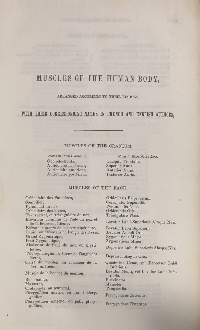 MUSCLES OF THE HUMAN BODY, ARRANGED ACCORDING TO THEIR REGIONS, WITH THEIR CORRESPONDING NAMES IN FRENCH AND ENGLISH AUTHORS, MUSCLES OF THE CRANIUM. JVame in French Authors. Name in English Authors. Occipito-frontal, Occipito-Frontalis. Auriculaire superieur, Superior Auris. Auriculaire ante'rieur, Anterior Auris. Auriculaire posterieur, Posterior Auris. MUSCLES OF THE FACE. Orbiculaire des Paupieres, Sourcilier, Pyramidal du nez, Orbiculaire des levres, Transversal, ou triangulaire du nez, Elevateur commun de l'aile du nez, et de la levre superieure, E16vateur propre de la levre superieure, Canin, ou ele'vateur de l'angle des levres, Grand Zygomatique, Petit Zygomatique, Abaisseur de l'aile du nez, ou myrti- forme, Triangulaire, ou abaisseur de l'angle des levres, Carre du menton, ou abaisseur de la levre inferieure, Muscle de la houppe du menton, Buccinateur, Masseter, Crotaphyte, ou temporal, Pterygoidien interne, ou grand ptery- goidien, Pterygoidien externe, ou petit ptery- goidien, Orbicularis Palpebrarum. Corrugator Supercilii. Pyramidalis Nasi. Orbicularis Oris. Triangularis Nasi. Levator Labii Superioris Alffique Nasi. Levator Labii Superioris. Levator Anguli Oris. Zygomaticus Major. Zygomaticus Minor. Depressor Labii Superioris Aleeque Nasi. Depressor Anguli Oris. Quadratus Gense, vel Depressor Labii Inferioris. Levator Menti, vel Levator Labii Infe« rioris. Buccinator. Masseter. Temporalis. Pterygoideus Internus. Pterygoideus Externus.