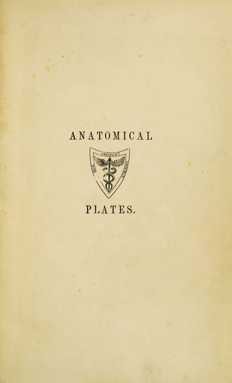 ANATOMICAL PLATES.