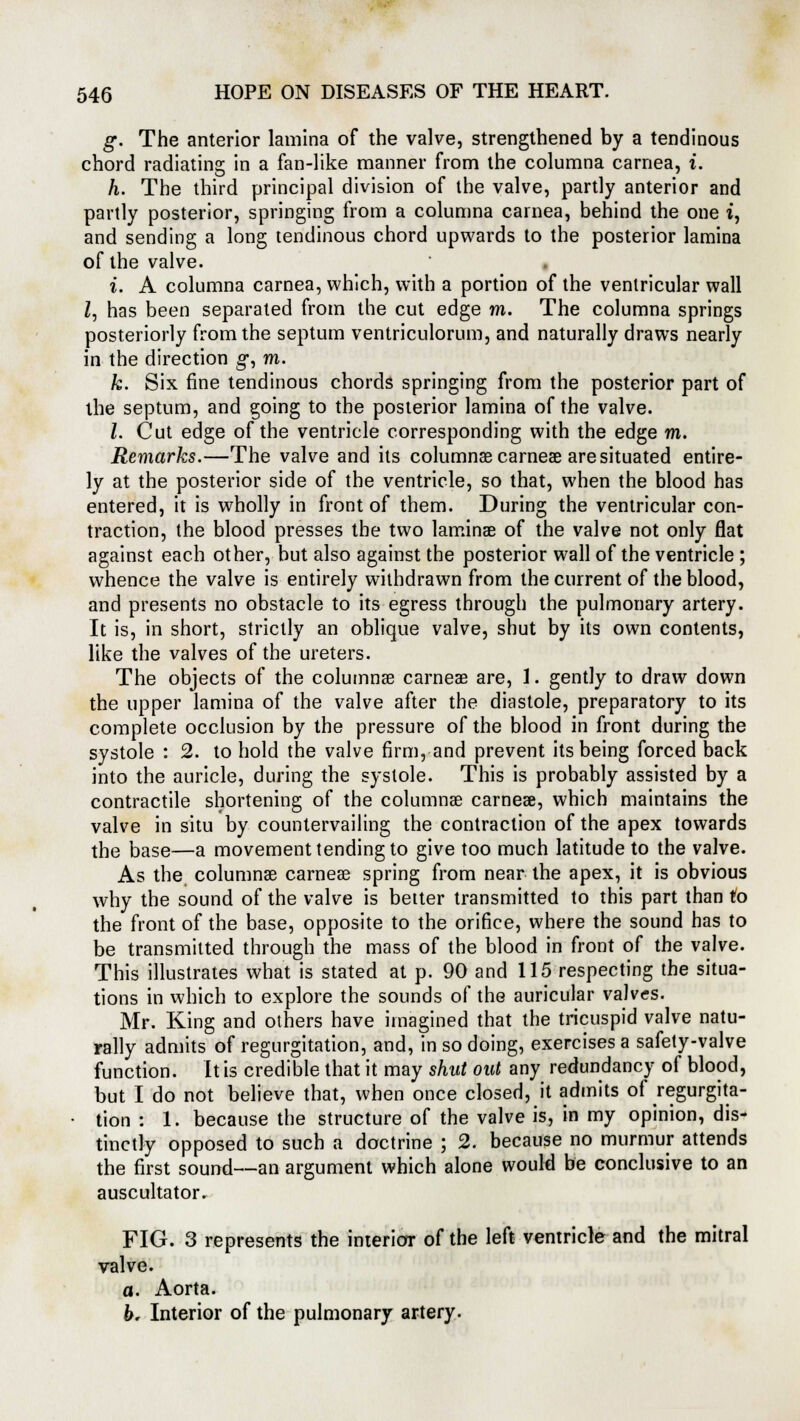 g. The anterior lamina of the valve, strengthened by a tendinous chord radiating in a fan-like manner from the columna carnea, i. h. The third principal division of the valve, partly anterior and partly posterior, springing from a columna carnea, behind the one i, and sending a long tendinous chord upwards to the posterior lamina of the valve. i. A columna carnea, which, with a portion of the ventricular wall Z, has been separated from the cut edge m. The columna springs posteriorly from the septum ventriculorum, and naturally draws nearly in the direction g, m. k. Six fine tendinous chords springing from the posterior part of the septum, and going to the posterior lamina of the valve. I. Cut edge of the ventricle corresponding with the edge m. Remarks.—The valve and its columnae carneae are situated entire- ly at the posterior side of the ventricle, so that, when the blood has entered, it is wholly in front of them. During the ventricular con- traction, the blood presses the two laminae of the valve not only flat against each other, but also against the posterior wall of the ventricle ; whence the valve is entirely withdrawn from the current of the blood, and presents no obstacle to its egress through the pulmonary artery. It is, in short, strictly an oblique valve, shut by its own contents, like the valves of the ureters. The objects of the columnar carneae are, 1. gently to draw down the upper lamina of the valve after the diastole, preparatory to its complete occlusion by the pressure of the blood in front during the systole : 2. to hold the valve firm, and prevent its being forced back into the auricle, during the systole. This is probably assisted by a contractile shortening of the columnae carneae, which maintains the valve in situ by countervailing the contraction of the apex towards the base—a movement tending to give too much latitude to the valve. As the columnae carneae spring from near the apex, it is obvious why the sound of the valve is better transmitted to this part than to the front of the base, opposite to the orifice, where the sound has to be transmitted through the mass of the blood in front of the valve. This illustrates what is stated at p. 90 and 115 respecting the situa- tions in which to explore the sounds of the auricular valves. Mr. King and others have imagined that the tricuspid valve natu- rally admits of regurgitation, and, in so doing, exercises a safety-valve function. It is credible that it may shut out any redundancy of blood, but I do not believe that, when once closed, it admits of regurgita- • tion : 1. because the structure of the valve is, in my opinion, dis- tinctly opposed to such a doctrine ; 2. because no murmur attends the first sound—an argument which alone would be conclusive to an auscultator. FIG. 3 represents the interior of the left ventricle and the mitral valve. a. Aorta. h. Interior of the pulmonary artery.