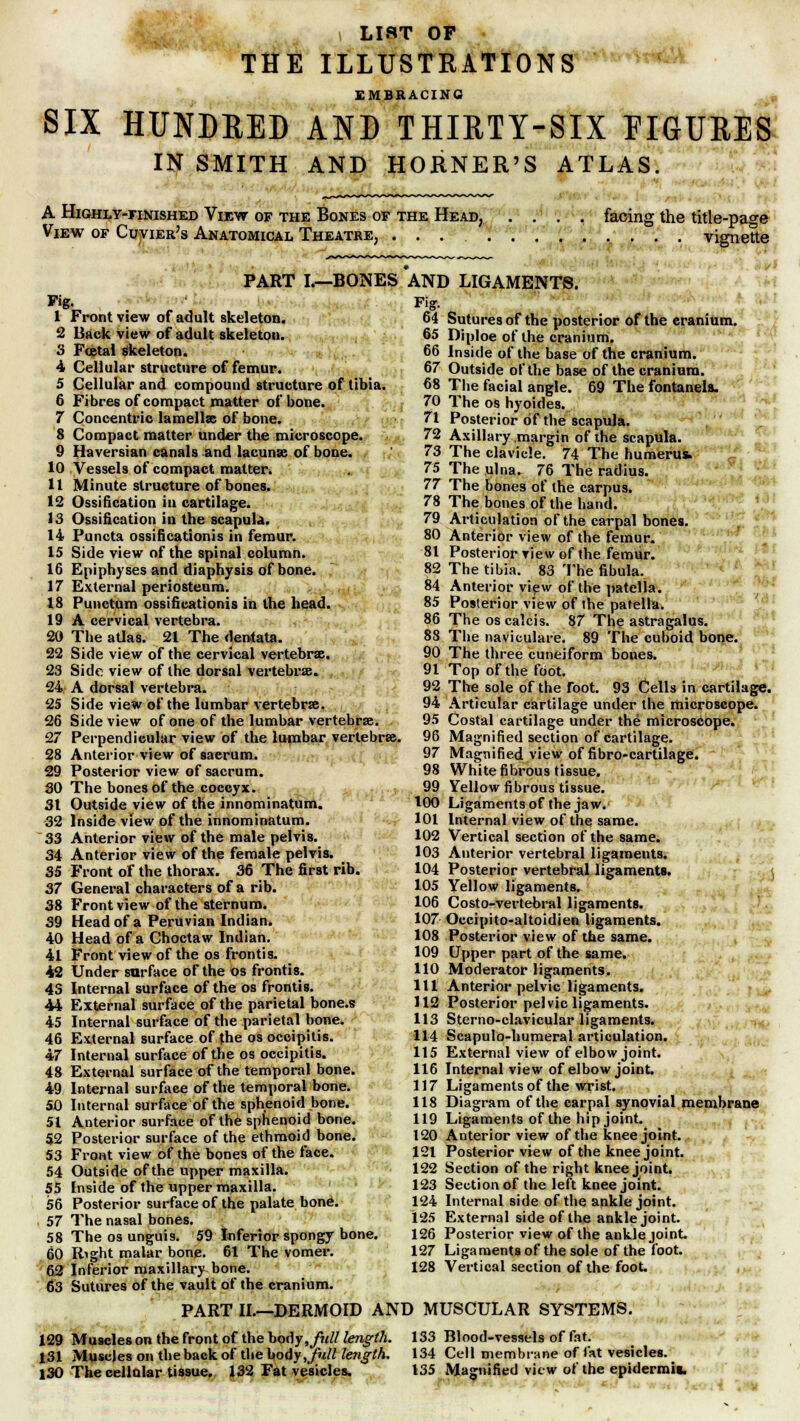 i list or THE ILLUSTRATIONS EMBRACING SIX HUNDRED AND THIRTY-SIX FIGURES IN SMITH AND HORNER'S ATLAS. A Highly-finished View of the Bones of the Head, .... facing the title-page View of Cuvier's Anatomical Theatre, ... vignette Pig. 1 Front view of adult skeleton. 2 Back view of adult skeleton. 3 Foetal skeleton. 4 Cellular structure of femur. 5 Cellular and compound structure of tibia. 6 Fibres of compact matter of bone. 7 Concentric lamellae of bone. 8 Compact matter under tbe microscope. 9 Haversian canals and lacunse of bone. 10 Vessels of compact matter. 11 Minute structure of bones. 12 Ossification in cartilage. 13 Ossification in the scapula. 14 Functa ossificationis in femur. 15 Side view of the spinal column. 16 Epiphyses and diaphysis of bone. 17 External periosteum. 18 Punctum ossificationis in the head. 19 A cervical vertebra. 20 The atlas. 21 The dentata. 22 Side view of the cervical vertebrae. 23 Side view of the dorsal vertebrae. 24 A dorsal vertebra. 25 Side view of the lumbar vertebrae. 26 Side view of one of the lumbar vertebrae. 27 Perpendicular view of the lumbar vertebrae. 28 Anterior view of sacrum. 29 Posterior view of sacrum. 30 The bones of the coccyx. 31 Outside view of the innominatum. 32 Inside view of the innominatum. 33 Anterior view of the male pelvis. 34 Anterior view of the female pelvis. 35 Front of the thorax. 36 The first rib. 37 General characters of a rib. 38 Front view of the sternum. 39 Head of a Peruvian Indian. 40 Head of a Choctaw Indian. 41 Front view of the os frontis. 42 Under surface of the os frontis. 43 Internal surface of the os frontis. 44 External surface of the parietal bone.s 45 Internal surface of the parietal bone. 46 External surface of the os occipitis. 47 Internal surface of the os occipitis. 48 External surface of the temporal bone. 49 Internal surface of the temporal bone. 50 Internal surface of the sphenoid bone. 51 Anterior surface of the sphenoid bone. 52 Posterior surface of the ethmoid bone. 53 Front view of the bones of the face. 54 Outside of the upper maxilla. 55 Inside of the upper maxilla. 56 Posterior surface of the palate bone. 57 The nasal bones. 58 The os unguis. 59 Inferior spongy bone. 60 Right malar bone. 61 The vomer. 62 Inferior maxillary bone. 63 Sutures of the vault of the cranium. PART I.—BONES AND LIGAMENTS. Fisr. 64 Sutures of the posterior of the eranium. 65 Diploe of the cranium. 66 Inside of the base of the cranium. 67 Outside of the base of the cranium. 68 The facial angle. 69 The fontanels. 70 The os hyoides. 71 Posterior of the scapula. 72 Axillary .margin of the scapula. 73 The clavicle. 74 The humerus. 75 The ulna. 76 The radius. 77 The bones of the carpus. 78 The bones of the hand. 79 Articulation of the carpal bones. 80 Anterior view of the femur. 81 Posterior view of the femur. 82 The tibia. 83 The fibula. 84 Anterior view of the patella. 85 Posterior view of the patella. 86 Theoscalcis. 87 The astragalus. 88 The naviculare. 89 The cuboid bone. 90 The three cuneiform bones. 91 Top of the foot. 92 The sole of the foot. 93 Cells in cartilage 94 Articular cartilage under the microscope. 95 Costal cartilage under the microscope. 96 Magnified section of cartilage. 97 Magnified view of fibro-cartilage. 98 White fibrous tissue. 99 Yellow fibrous tissue. 100 Ligaments of the jaw. 101 Internal view of the same. 102 Vertical section of the same. 103 Anterior vertebral ligaments. 104 Posterior vertebral ligaments. 105 Yellow ligaments. 106 Costo-vertebral ligaments. 107 Occipito-altoidien ligaments. 108 Posterior view of the same. 109 Upper part of the same. 110 Moderator ligaments. 111 Anterior pelvic ligaments. 112 Posterior pelvic ligaments. 113 Sterno-clavicular ligaments. 114 Scapulo-humeral articulation. 115 External view of elbow joint. 116 Internal view of elbow joint. 117 Ligaments of the wrist. 118 Diagram of the carpal synovial membrane 119 Ligaments of the hip joint. 120 Anterior view of the knee joint. 121 Posterior view of the knee joint. 122 Section of the right knee joint. 123 Section of the left knee joint. 124 Internal side of the ankle joint. 125 External side of the ankle joint. 126 Posterior view of the ankle joint. 127 Ligaments of the sole of the foot. 128 Vertical section of the foot PART II.—DERMOID AND MUSCULAR SYSTEMS. 129 Muscles on the front of the body,/?*// length. 131 Muscles on the back of the body, full length. 130 The cellular tissue, 132 Fat vesicles. 133 Blood-vessels of fat. 134 Cell membrane of fat vesicles. 135 Magnified view of the epidermis.
