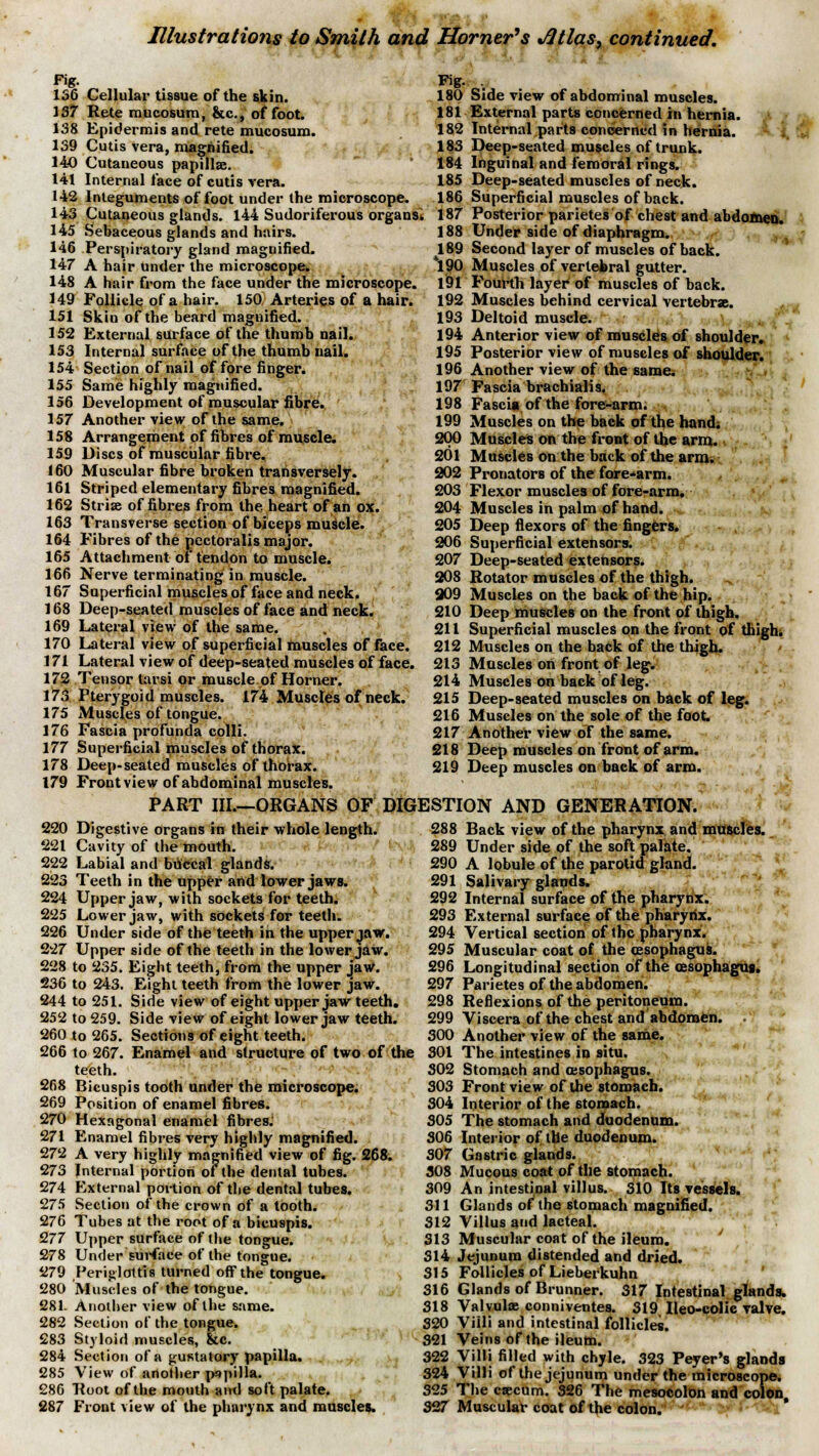 Fig. 156 Cellular tissue of the skin. 137 Rete mucosum, &c, of foot. 138 Epidermis and rete mucosum. 139 Cutis vera, magnified. 140 Cutaneous papillae. 141 Internal face of cutis vera. 142 Integuments of foot under the microscope. 143 Cutaneous glands. 144 Sudoriferous organs. 145 Sebaceous glands and hairs. 146 Perspiratory gland magnified. 147 A hair under the microscope. 148 A hair from the face under the microscope. 149 Follicle of a hair. 150, Arteries of a hair. 151 Skin of the beard magnified. 152 External surface of the thumb nail. 153 Internal surface of the thumb nail. 154 Section of nail of fore finger. 155 Same highly magnified. 156 Development of muscular fibre. 157 Another view of the same. 158 Arrangement of fibres of muscle. 159 Discs of muscular fibre. 160 Muscular fibre broken transversely. 161 Striped elementary fibres magnified. 162 Stri» of fibres from the heart of an ox. 163 Transverse section of biceps muscle. 164 Fibres of the pectoralis major. 165 Attachment of tendon to muscle. 166 Nerve terminating in muscle. 167 Superficial muscles of face and neck. 168 Deep-seated muscles of face and neck. 169 Lateral view of the same. 170 Lateral view of superficial muscles of face. 171 Lateral view of deep-seated muscles of face. 172 Tensor tarsi or muscle of Horner. 173 Pterygoid muscles. 174 Muscles of neck. 175 Muscles of tongue. 176 Fascia profunda colli. 177 Superficial muscles of thorax. 178 Deep-seated muscles of thorax. 179 Front view of abdominal muscles. Fig. . 180 Side view of abdominal muscles. 181 External parts concerned in hernia. 182 Internal parts concerned in hernia. 183 Deep-seated muscles of trunk. 184 Inguinal and femoral rings. 185 Deep-seated muscles of neck. 186 Superficial muscles of back. 187 Posterior parietes of chest and abdomen. 188 Under side of diaphragm. 189 Second layer of muscles of back. *i90 Muscles of vertebral gutter. 191 Fourth layer of muscles of back. 192 Muscles behind cervical vertebrae. 193 Deltoid muscle. 194 Anterior view of muscles of shoulder. 195 Posterior view of muscles of shoulder. 196 Another view of the same. 197 Fascia brachialis. 198 Fascia of the fore-arm. 199 Muscles on the back of the hand; 200 Muscles on the front of the arm. 201 Muscles on the back of the arm. 202 Pronators of the fore-arm. 203 Flexor muscles of fore-arm. 204 Muscles in palm of hand. 205 Deep flexors of the fingers. 206 Superficial extensors. 207 Deep-seated extensors. 208 Rotator muscles of the thigh. 209 Muscles on the back of the hip. 210 Deep muscles on the front of thigh. 211 Superficial muscles on the front of thigh. 212 Muscles on the back of the thigh. 213 Muscles on front of leg. 214 Muscles on back of leg. 215 Deep-seated muscles on back of leg. 216 Muscles on the sole of the foot 217 Another view of the same. 218 Deep muscles on front of arm. 219 Deep muscles on back of arm. PART III—ORGANS OF DIGESTION AND GENERATION. 220 Digestive organs in their whole length. 221 Cavity of the mouth. 222 Labial and buccal glands. 223 Teeth in the upper and lower jaws. 224 Upper jaw, with sockets for teeth. 225 Lower jaw, with sockets for teeth. 226 Under side of the teeth in the upper jaw. 227 Upper side of the teeth in the lower jaw. 228 to 235. Eight teeth, from the upper jaw. 236 to 243. Eight teeth from the lower jaw. 244 to 251. Side view of eight upper jaw teeth. 252 to 259. Side view of eight lower jaw teeth. 260 to 265. Sections of eight teeth. 266 to 267. Enamel and structure of two of the teeth. 268 Bicuspis tooth under the microscope. 269 Position of enamel fibres. 270 Hexagonal enamel fibres. 271 Enamel fibres very highly magnified. 272 A very highly magnified view of fig. 268. 273 Internal portion of the dental tubes. 274 External portion of the dental tubes. 275 Section of the crown of a tooth. 276 Tubes at the root of a bicuspis. 277 Upper surface of the tongue. 278 Under 'surface of the tongue. 279 Perigloltis turned off the tongue. 280 Muscles of the tongue. 281. Another view of the same. 282 Section of the tongue. £83 Styloid muscles, &c. 284 Section of a gustatory papilla. 285 View of another papilla. 286 Root of the mouth and soft palate. 287 Front view of the pharynx and muscles. 288 Back view of the pharynx and muscles. 289 Under side of the soft palate. 290 A lobule of the parotid gland. 291 Salivary glands. 292 Internal surface of the pharynx. 293 External surface of the pharynx. 294 Vertical section of the pharynx. 295 Muscular coat of the oesophagus. 296 Longitudinal section of the oesophagus. 297 Parietes of the abdomen. 298 Reflexions of the peritoneum. 299 Viscera of the chest and abdomen. . 300 Another view of the same. 301 The intestines in situ. 302 Stomach and oesophagus. 303 Front view of the stomach. 304 Interior of the stomach. 305 The stomach and duodenum. 306 Interior of the duodenum. 307 Gastric glands. 308 Mucous coat of the stomach. 309 An intestinal villus. 310 Its vessels. 311 Glands of the stomach magnified. 312 Villus and lacteal. 313 Muscular coat of the ileum. 314 Jejunum distended and dried. 315 Follicles of Lieberkuhn 316 Glands of Brunner. 317 Intestinal glands. 318 Valvulae conniventes. 319 Ileo-colic valve. 320 Villi and intestinal follicles. 321 Veins of the ileum. 322 Villi filled with chyle. 323 Peyer's glands 324 Villi of the jejunum under the microscope. 325 The caecum. 326 The mesocolon and colon S27 Muscular coat of the colon.