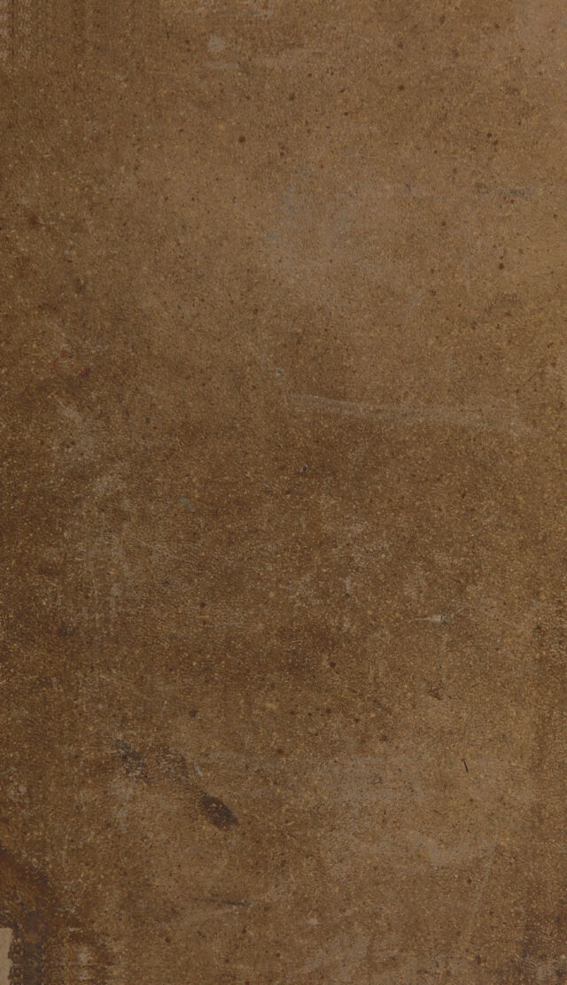 digitised image 2