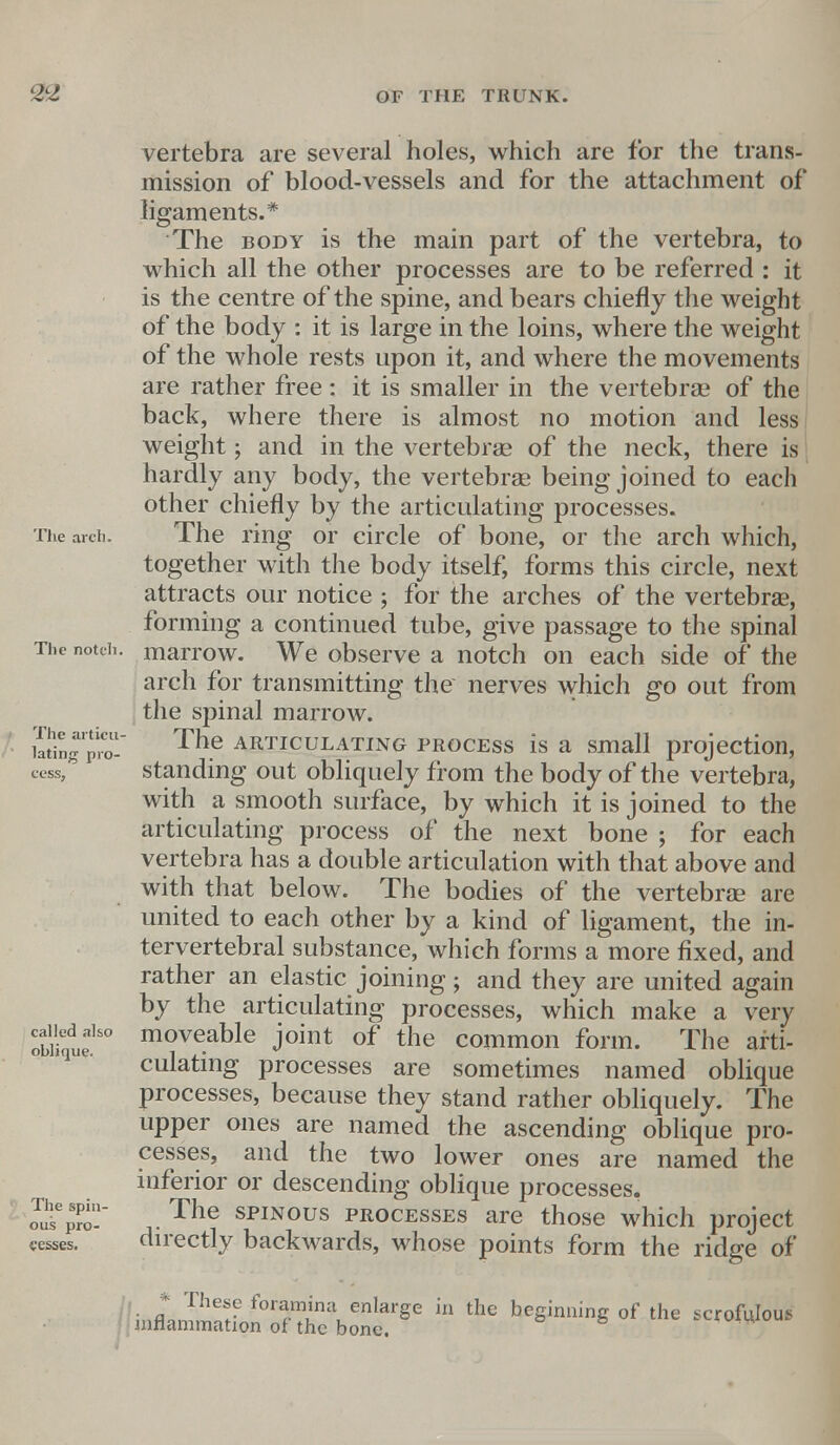 The arch. The notch. The articu- lating pro- cess, called also oblique. The spin- ous pro- cesses. vertebra are several holes, which are for the trans- mission of blood-vessels and for the attachment of ligaments.* The body is the main part of the vertebra, to which all the other processes are to be referred : it is the centre of the spine, and bears chiefly the weight of the body : it is large in the loins, where the weight of the whole rests upon it, and where the movements are rather free: it is smaller in the vertebra? of the back, where there is almost no motion and less weight; and in the vertebras of the neck, there is hardly any body, the vertebrae being joined to each other chiefly by the articulating processes. The ring or circle of bone, or the arch which, together with the body itself, forms this circle, next attracts our notice ; for the arches of the vertebrae, forming a continued tube, give passage to the spinal marrow. We observe a notch on each side of the arch for transmitting the nerves which go out from the spinal marrow. The articulating process is a small projection, standing out obliquely from the body of the vertebra, with a smooth surface, by which it is joined to the articulating process of the next bone ; for each vertebra has a double articulation with that above and with that below. The bodies of the vertebras are united to each other by a kind of ligament, the in- tervertebral substance, which forms a more fixed, and rather an elastic joining; and they are united again by the articulating processes, which make a very moveable joint of the common form. The arti- culating processes are sometimes named oblique processes, because they stand rather obliquely. The upper ones are named the ascending oblique pro- cesses, and the two lower ones are named the inferior or descending oblique processes. The spinous processes are those which project directly backwards, whose points form the ridge of . * These foramina enlarge in the beginning of the scrofulous* inflammation of the bone.