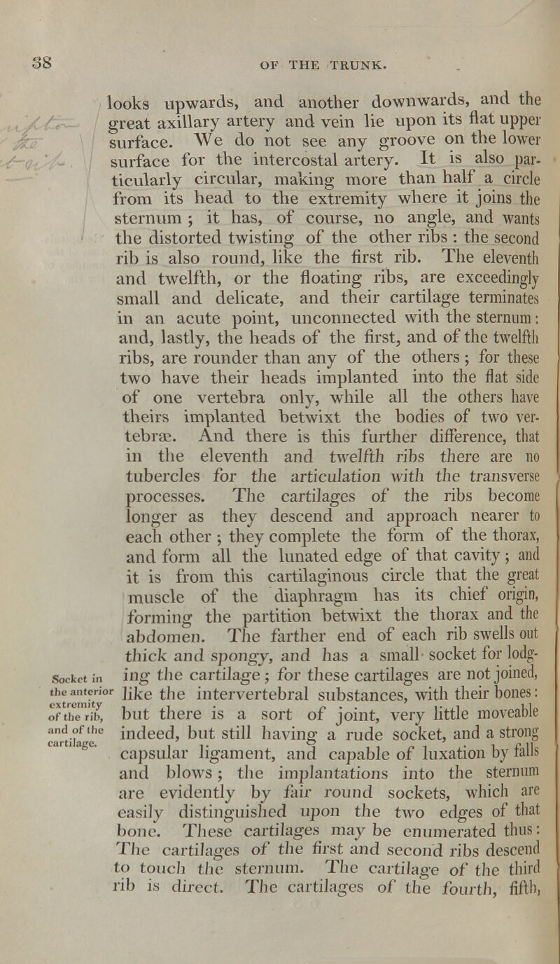 looks upwards, and another downwards, and the great axillary artery and vein lie upon its flat upper surface. We do not see any groove on the lower surface for the intercostal artery. It is also par- ticularly circular, making more than half a circle from its head to the extremity where it joins the sternum ; it has, of course, no angle, and wants the distorted twisting of the other ribs : the second rib is also round, like the first rib. The eleventh and twelfth, or the floating ribs, are exceedingly small and delicate, and their cartilage terminates in an acute point, unconnected with the sternum: and, lastly, the heads of the first, and of the twelfth ribs, are rounder than any of the others; for these two have their heads implanted into the flat side of one vertebra only, while all the others have theirs implanted betwixt the bodies of two ver- tebrae. And there is this further difference, that in the eleventh and twelfth ribs there are no tubercles for the articulation with the transverse processes. The cartilages of the ribs become longer as they descend and approach nearer to each other ; they complete the form of the thorax, and form all the lunated edge of that cavity; and it is from this cartilaginous circle that the great muscle of the diaphragm has its chief origin, forming the partition betwixt the thorax and the abdomen. The farther end of each rib swells out thick and spongy, and has a small socket for lodg- socket in ing the cartilage; for these cartilages are not joined, the anterior the intervertebral substances, with their bones: of the rib, but there is a sort of joint, very little moveable nrtih a mc^ee^» but still having a rude socket, and a strong car i age. capSU]ar ligament, and capable of luxation by falls and blows; the implantations into the sternum are evidently by fair round sockets, which are easily distinguished upon the two edges of that bone. These cartilages may be enumerated thus: The cartilages of the first and second ribs descend to touch the sternum. The cartilage of the third rib is direct. The cartilages of the fourth, fifth,
