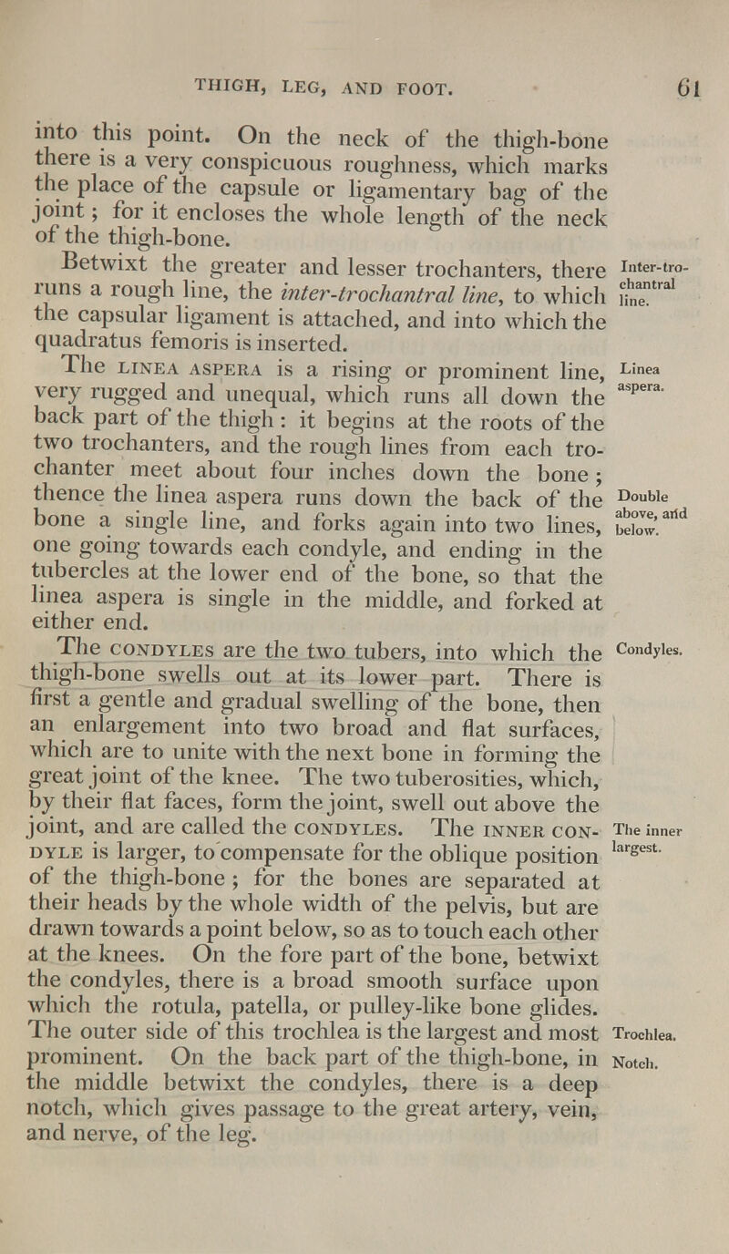 into this point. On the neck of the thigh-bone there is a very conspicuous roughness, which marks the place of the capsule or ligamentary bag of the joint; for it encloses the whole length of the neck of the thigh-bone. Betwixt the greater and lesser trochanters, there ^er-ira- runs a rough line, the inter-trochantral line, to which mi'™1 the capsular ligament is attached, and into which the quadratus femoris is inserted. The linea aspera is a rising or prominent line, Linea very rugged and unequal, which runs all down the aspera back part of the thigh: it begins at the roots of the two trochanters, and the rough lines from each tro- chanter meet about four inches down the bone; thence the linea aspera runs down the back of the Double bone a single line, and forks again into two lines, beC.arid one going towards each condyle, and ending in the tubercles at the lower end of the bone, so that the linea aspera is single in the middle, and forked at either end. The condyles are the two tubers, into which the Condv^s- thigh-bone swells out at its lower part. There is first a gentle and gradual swelling of the bone, then an enlargement into two broad and flat surfaces, which are to unite with the next bone in forming the great joint of the knee. The two tuberosities, which, by their flat faces, form the joint, swell out above the joint, and are called the CONDYLES. The INNER CON- The inner dyle is larger, to compensate for the oblique position largest of the thigh-bone ; for the bones are separated at their heads by the whole width of the pelvis, but are drawn towards a point below, so as to touch each other at the knees. On the fore part of the bone, betwixt the condyles, there is a broad smooth surface upon which the rotula, patella, or pulley-like bone glides. The outer side of this trochlea is the largest and most Trochlea, prominent. On the back part of the thigh-bone, in Notch, the middle betwixt the condyles, there is a deep notch, which gives passage to the great artery, vein, and nerve, of the leg.