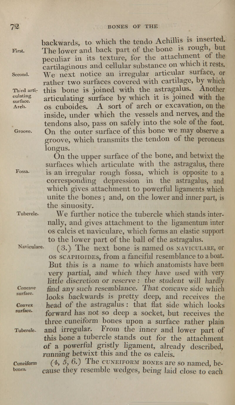 First. Second. Third arti- culating surface. Arch. Groove. Fossa. Tubercle. Naviculare. Concave surface. Convex surface- Tubercle. Cuneiform bones. backwards, to which the tendo Achillis is inserted. The lower and back part of the bone is rough, but peculiar in its texture, for the attachment of the cartilaginous and cellular substance on which it rests. We next notice an irregular articular surface, or rather two surfaces covered with cartilage, by which this bone is joined with the astragalus. Another articulating surface by which it is joined with the os cuboides. A sort of arch or excavation, on the inside, under which the vessels and nerves, and the tendons also,, pass on safely into the sole of the foot. On the outer surface of this bone we may observe a groove, which transmits the tendon of the peroneus longus. On the upper surface of the bone, and betwixt the surfaces which articulate with the astragalus, there is an irregular rough fossa, which is opposite to a corresponding depression in the astragalus, and which gives attachment to powerful ligaments which unite the bones; and, on the lower and inner part, is the sinuosity. We further notice the tubercle which stands inter- nally, and gives attachment to the ligamentum inter os calcis et naviculare, which forms an elastic support to the lower part of the ball of the astragalus. (3.) The next bone is named os naviculare, or os scaphoides, from a fanciful resemblance to a boat. But this is a name to which anatomists have been very partial, and which they have used with very little discretion or reserve : the student will hardly find any such resemblance. That concave side which looks backwards is pretty deep, and receives the head of the astragalus : that flat side which looks forward has not so deep a socket, but receives the three cuneiform bones upon a surface rather plain and irregular. From the inner and lower part of this bone a tubercle stands out for the attachment of a powerful gristly ligament, already described, running betwixt this and the os calcis. (4, 5, 6.) The cuneiform bones are so named, be- cause they resemble wedges, being laid close to each