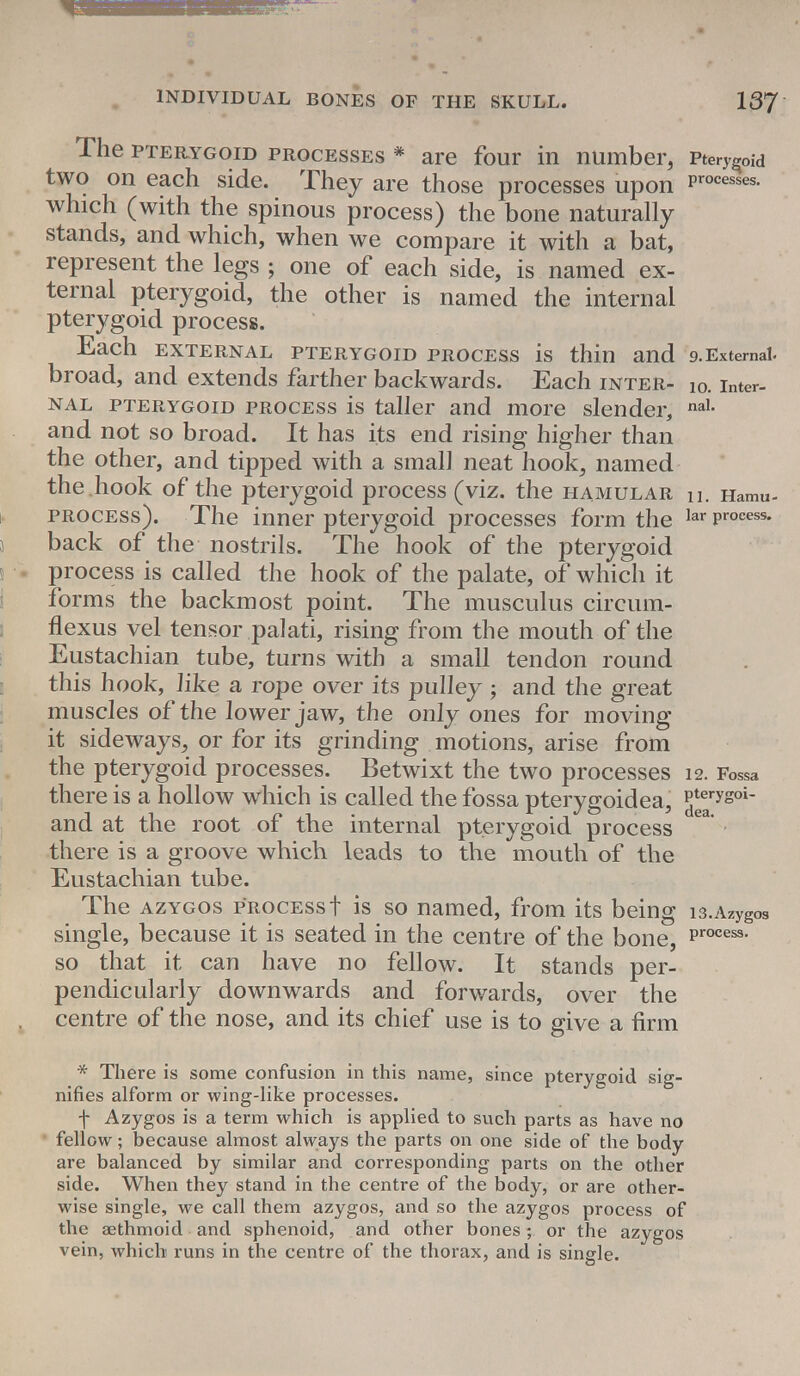 The pterygoid processes * are four in number, Pterygoid two on each side. They are those processes upon Process«- which (with the spinous process) the bone naturally stands, and which, when we compare it with a bat, represent the legs ; one of each side, is named ex- ternal pterygoid, the other is named the internal pterygoid process. Each EXTERNAL PTERYGOID PROCESS is thin and 9.External. broad, and extends farther backwards. Each inter- i0. inter. nal pterygoid process is taller and more slender, nal- and not so broad. It has its end rising higher than the other, and tipped with a small neat hook, named the .hook of the pterygoid process (viz. the hamular n. Hamu- process). The inner pterygoid processes form the lar Process- back of the nostrils. The hook of the pterygoid process is called the hook of the palate, of which it forms the backmost point. The musculus circum- flexus vel tensor palati, rising from the mouth of the Eustachian tube, turns with a small tendon round this hook, like a rope over its pulley ; and the great muscles of the lower jaw, the only ones for moving it sideways, or for its grinding motions, arise from the pterygoid processes. Betwixt the two processes 12. Fossa there is a hollow which is called the fossa pterygoidea, 5^rygoi' and at the root of the internal pterygoid process there is a groove which leads to the mouth of the Eustachian tube. The azygos process t is so named, from its being i3.AzygoS single, because it is seated in the centre of the bone, Process- so that it can have no fellow. It stands per- pendicularly downwards and forwards, over the centre of the nose, and its chief use is to give a firm * There is some confusion in this name, since pterygoid sig- nifies alform or wing-like processes. f Azygos is a term which is applied to such parts as have no fellow; because almost always the parts on one side of the body are balanced by similar and corresponding parts on the other side. When they stand in the centre of the body, or are other- wise single, we call them azygos, and so the azygos process of the aethmoid and sphenoid, and other bones; or the azygos vein, which runs in the centre of the thorax, and is single.