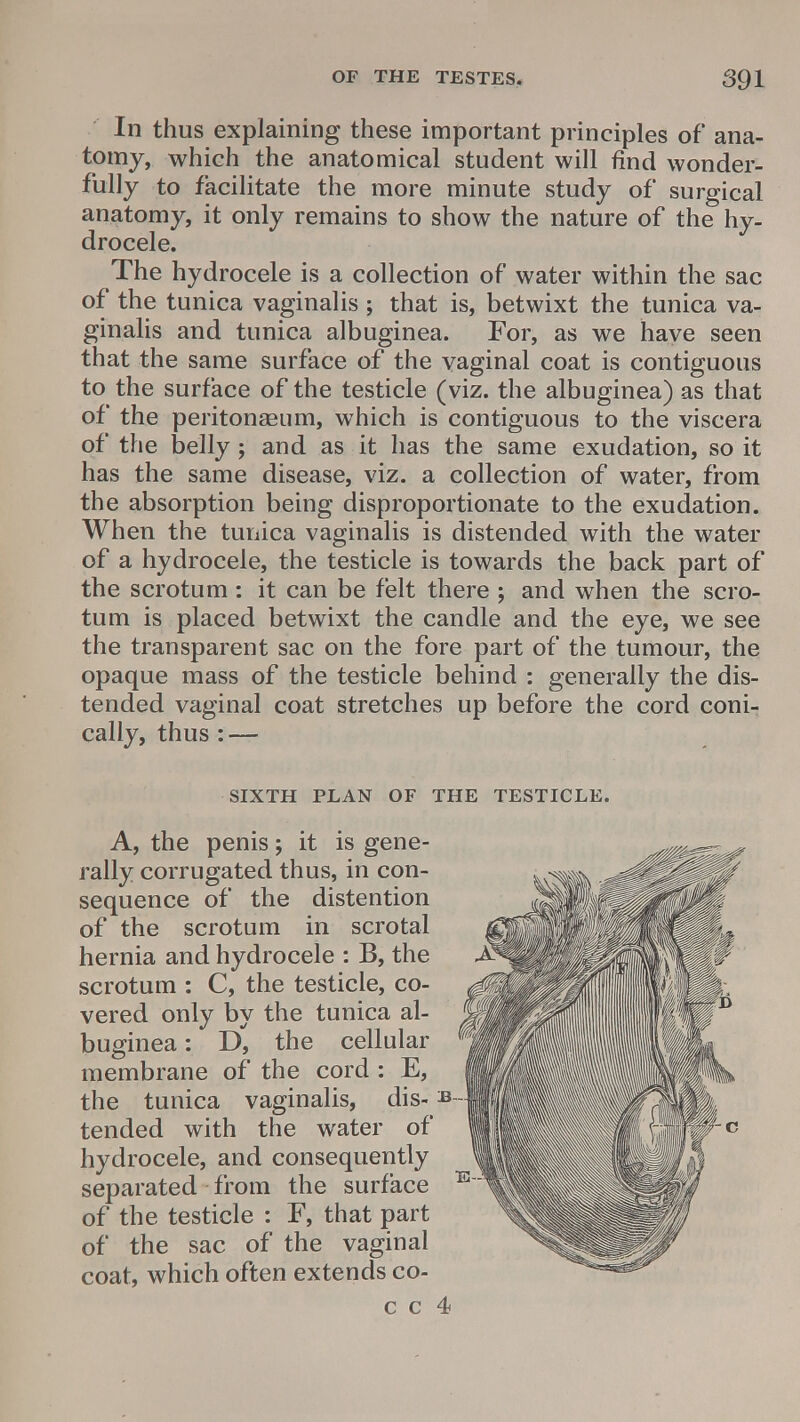 In thus explaining these important principles of ana- tomy, which the anatomical student will find wonder- fully to facilitate the more minute study of surgical anatomy, it only remains to show the nature of the hy- drocele. The hydrocele is a collection of water within the sac of the tunica vaginalis ; that is, betwixt the tunica va- ginalis and tunica albuginea. For, as we have seen that the same surface of the vaginal coat is contiguous to the surface of the testicle (viz. the albuginea) as that of the peritonaeum, which is contiguous to the viscera of the belly; and as it has the same exudation, so it has the same disease, viz. a collection of water, from the absorption being disproportionate to the exudation. When the tunica vaginalis is distended with the water of a hydrocele, the testicle is towards the back part of the scrotum: it can be felt there ; and when the scro- tum is placed betwixt the candle and the eye, we see the transparent sac on the fore part of the tumour, the opaque mass of the testicle behind : generally the dis- tended vaginal coat stretches up before the cord coni- cally, thus: — SIXTH PLAN OF THE TESTICLE. A, the penis; it is gene- rally corrugated thus, in con- sequence of the distention of the scrotum in scrotal hernia and hydrocele : B, the scrotum : C, the testicle, co- vered only by the tunica al- J buginea: D', the cellular H membrane of the cord : E, the tunica vaginalis, dis- as- tended with the water of hydrocele, and consequently separated from the surface of the testicle : F, that part of the sac of the vaginal coat, which often extends co-