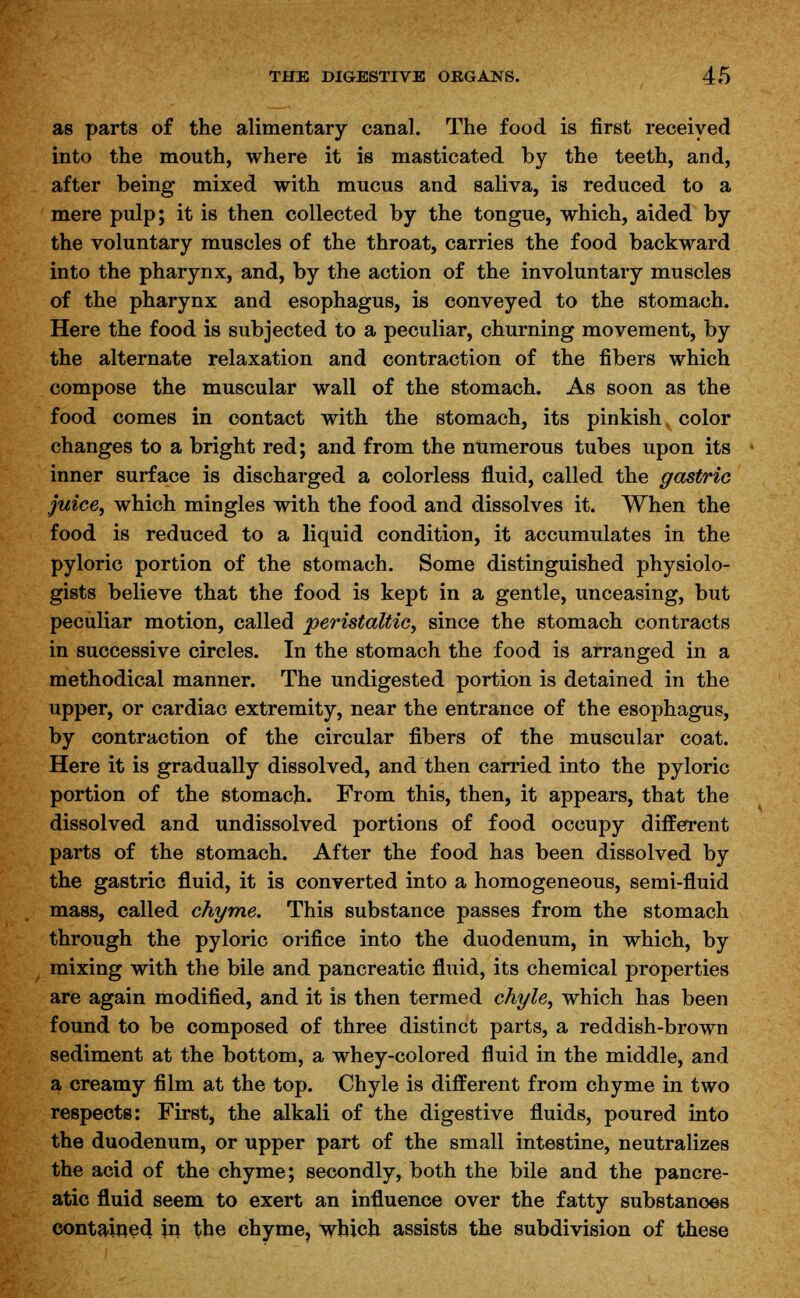 as parts of the alimentary canal. The food is first received into the mouth, where it is masticated by the teeth, and, after being mixed with mucus and saliva, is reduced to a mere pulp; it is then collected by the tongue, which, aided by the voluntary muscles of the throat, carries the food backward into the pharynx, and, by the action of the involuntary muscles of the pharynx and esophagus, is conveyed to the stomach. Here the food is subjected to a peculiar, churning movement, by the alternate relaxation and contraction of the fibers which compose the muscular wall of the stomach. As soon as the food comes in contact with the stomach, its pinkish, color changes to a bright red; and from the numerous tubes upon its inner surface is discharged a colorless fluid, called the gastric juice, which mingles with the food and dissolves it. When the food is reduced to a liquid condition, it accumulates in the pyloric portion of the stomach. Some distinguished physiolo- gists believe that the food is kept in a gentle, unceasing, but peculiar motion, called peristaltic, since the stomach contracts in successive circles. In the stomach the food is arranged in a methodical manner. The undigested portion is detained in the upper, or cardiac extremity, near the entrance of the esophagus, by contraction of the circular fibers of the muscular coat. Here it is gradually dissolved, and then carried into the pyloric portion of the stomach. From this, then, it appears, that the dissolved and undissolved portions of food occupy different parts of the stomach. After the food has been dissolved by the gastric fluid, it is converted into a homogeneous, semi-fluid mass, called chyme. This substance passes from the stomach through the pyloric orifice into the duodenum, in which, by mixing with the bile and pancreatic fluid, its chemical properties are again modified, and it is then termed chyle, which has been found to be composed of three distinct parts, a reddish-brown sediment at the bottom, a whey-colored fluid in the middle, and a creamy film at the top. Chyle is different from chyme in two respects: First, the alkali of the digestive fluids, poured into the duodenum, or upper part of the small intestine, neutralizes the acid of the chyme; secondly, both the bile and the pancre- atic fluid seem to exert an influence over the fatty substances contained \j\ the chyme, which assists the subdivision of these