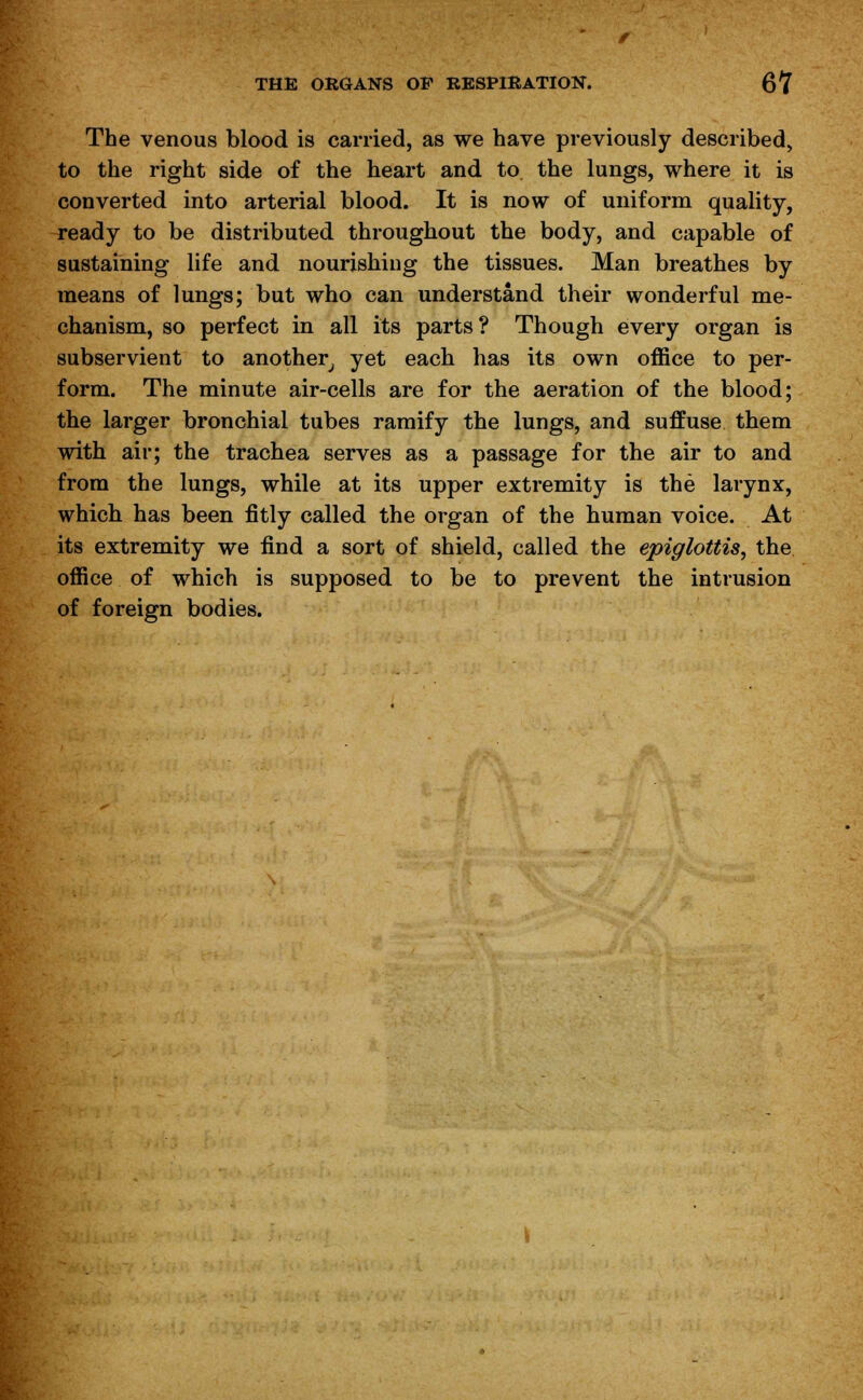 The venous blood is carried, as we have previously described, to the right side of the heart and to the lungs, where it is converted into arterial blood. It is now of uniform quality, ready to be distributed throughout the body, and capable of sustaining life and nourishing the tissues. Man breathes by means of lungs; but who can understand their wonderful me- chanism, so perfect in all its parts? Though every organ is subservient to another, yet each has its own office to per- form. The minute air-cells are for the aeration of the blood; the larger bronchial tubes ramify the lungs, and suffuse them with air; the trachea serves as a passage for the air to and from the lungs, while at its upper extremity is the larynx, which has been fitly called the organ of the human voice. At its extremity we find a sort of shield, called the epiglottis, the office of which is supposed to be to prevent the intrusion of foreign bodies.