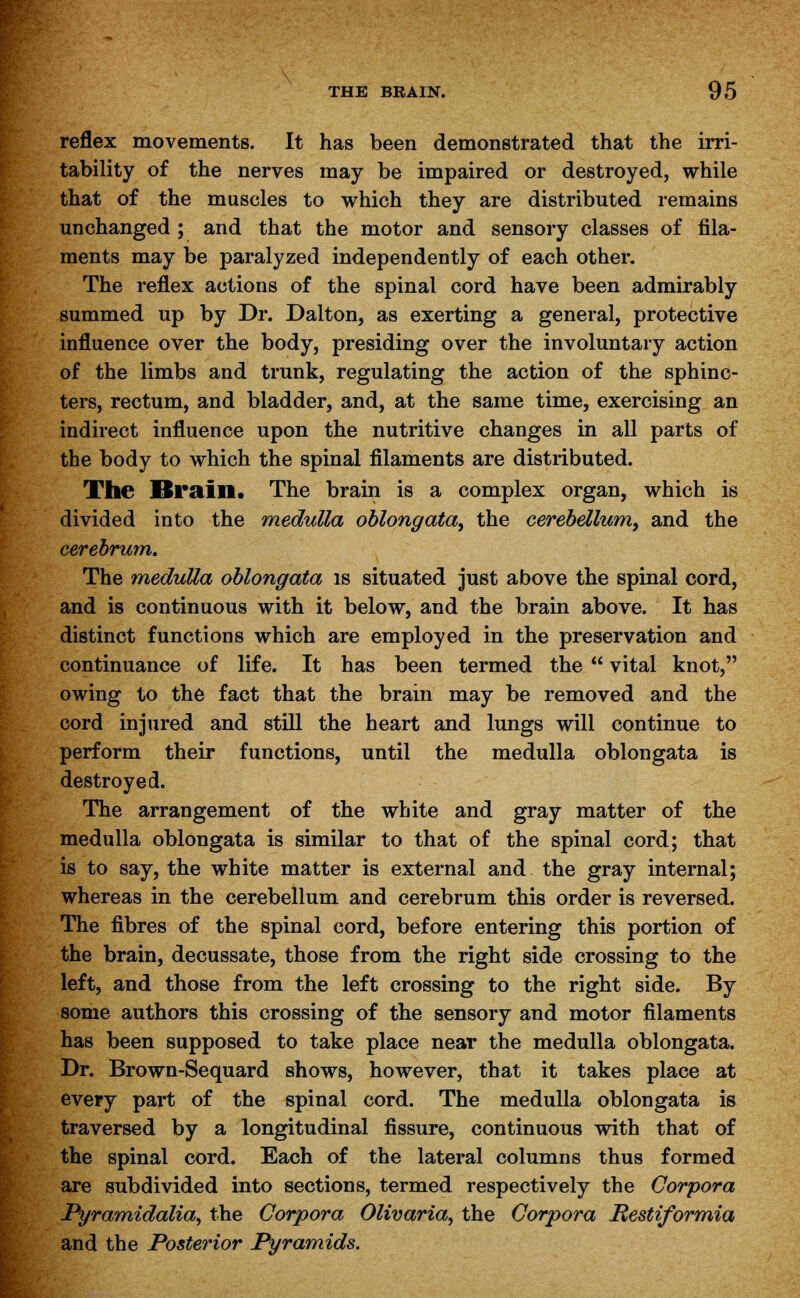 reflex movements. It has been demonstrated that the irri- tability of the nerves may be impaired or destroyed, while that of the muscles to which they are distributed remains unchanged ; and that the motor and sensory classes of fila- ments may be paralyzed independently of each other. The reflex actions of the spinal cord have been admirably summed up by Dr. Dalton, as exerting a general, protective influence over the body, presiding over the involuntary action of the limbs and trunk, regulating the action of the sphinc- ters, rectum, and bladder, and, at the same time, exercising an indirect influence upon the nutritive changes in all parts of the body to which the spinal filaments are distributed. The Brain. The brain is a complex organ, which is divided into the medulla oblongata, the cerebellum, and the cerebrum. The medulla oblongata is situated just above the spinal cord, and is continuous with it below, and the brain above. It has distinct functions which are employed in the preservation and continuance of life. It has been termed the  vital knot, owing to the fact that the brain may be removed and the cord injured and still the heart and lungs will continue to perform their functions, until the medulla oblongata is destroyed. The arrangement of the white and gray matter of the medulla oblongata is similar to that of the spinal cord; that is to say, the white matter is external and the gray internal; whereas in the cerebellum and cerebrum this order is reversed. The fibres of the spinal cord, before entering this portion of the brain, decussate, those from the right side crossing to the left, and those from the left crossing to the right side. By some authors this crossing of the sensory and motor filaments has been supposed to take place near the medulla oblongata. Dr. Brown-Sequard shows, however, that it takes place at every part of the spinal cord. The medulla oblongata is traversed by a longitudinal fissure, continuous with that of the spinal cord. Each of the lateral columns thus formed are subdivided into sections, termed respectively the Corpora Pyramidalia, the Corpora Olivaria, the Corpora Hestiformia and the Posterior Pyramids.