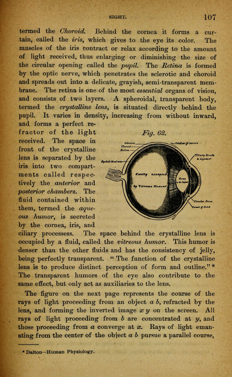 termed the Choroid. Behind the cornea it forms a cur- tain, called the iris, which gives to the eye its color. The muscles of the iris contract or relax according to the amount of light received, thus enlarging or diminishing the size of the circular opening called the pupil. The Retina is formed by the optic nerve, which penetrates the sclerotic and choroid and spreads out into a delicate, grayish, semi-transparent mem- brane. The retina is one of the most essential organs of vision, and consists of two layers. A spheroidal, transparent body, termed the crystalline lens, is situated directly behind the pupil. It varies in density, increasing from without inward, and forms a perfect re- fractor of the light Fig. 62. received. The space in front of the crystalline lens is separated by the iris into two compart- ments called respec- tively the anterior and posterior chambers. The fluid contained within them, termed the aque- ous humor, is secreted by the cornea, iris, and ciliary processess. The space behind the crystalline lens is occupied by a fluid, called the vitreous humor. This humor is denser than the other fluids and has the consistency of jelly, being perfectly transparent.  The function of the crystalline lens is to produce distinct perception of form and outline. * The transparent humors of the eye also contribute to the same effect, but only act as auxiliaries to the lens. The figure on the next page represents the course of the rays of light proceeding from an object a b, refracted by the lens, and forming the inverted image x y on the screen. All rays of light proceeding from b are concentrated at y, and those proceeding from a converge at cc. Rays of light eman- ating from the center of the object a b pursue a parallel course, * Dalton—Human Physiology.